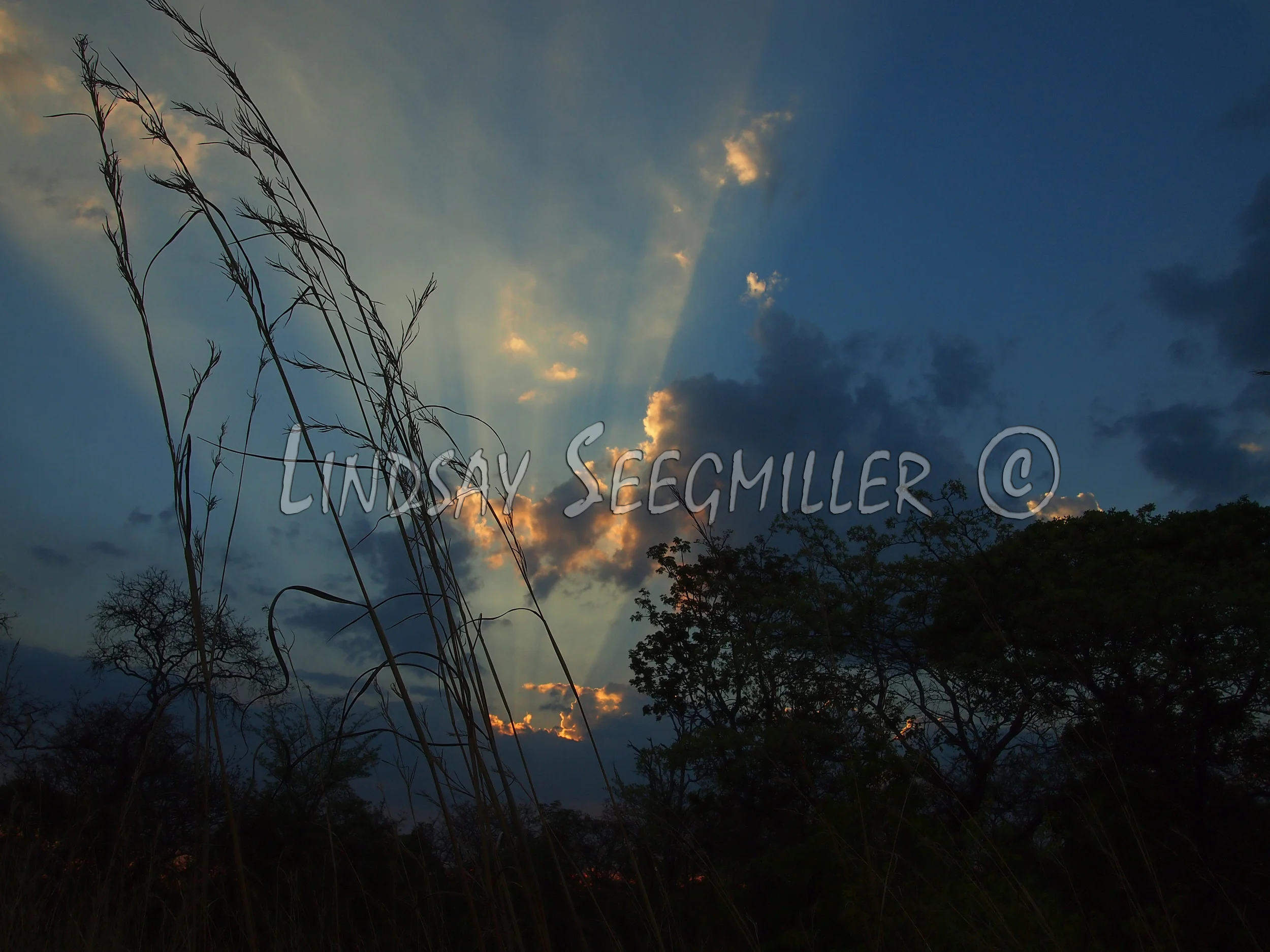 Roadside Camping, Mozambique