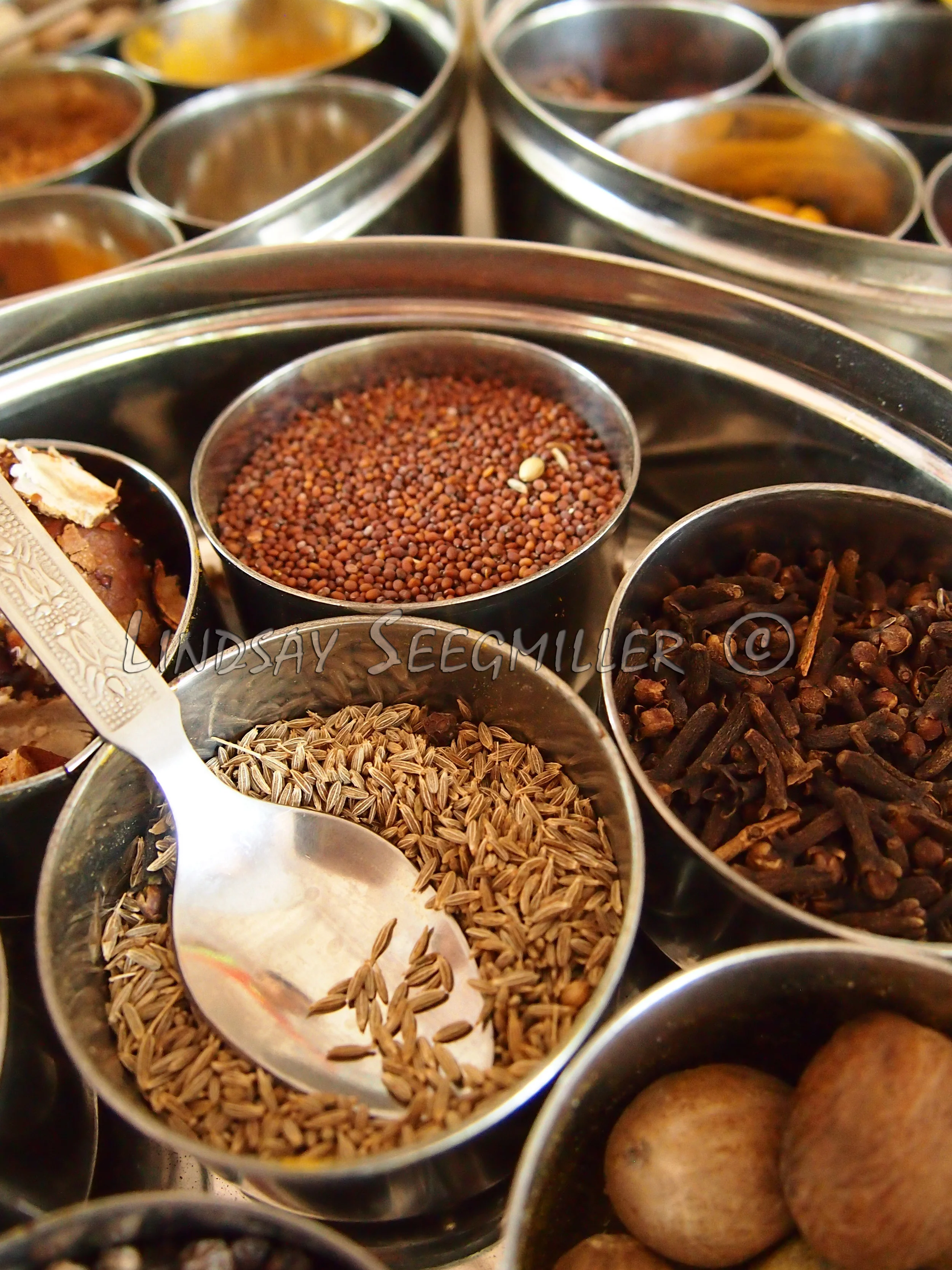 Indian Spices: Goa, India