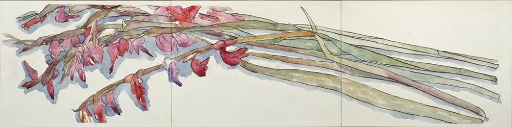Red Glads 2