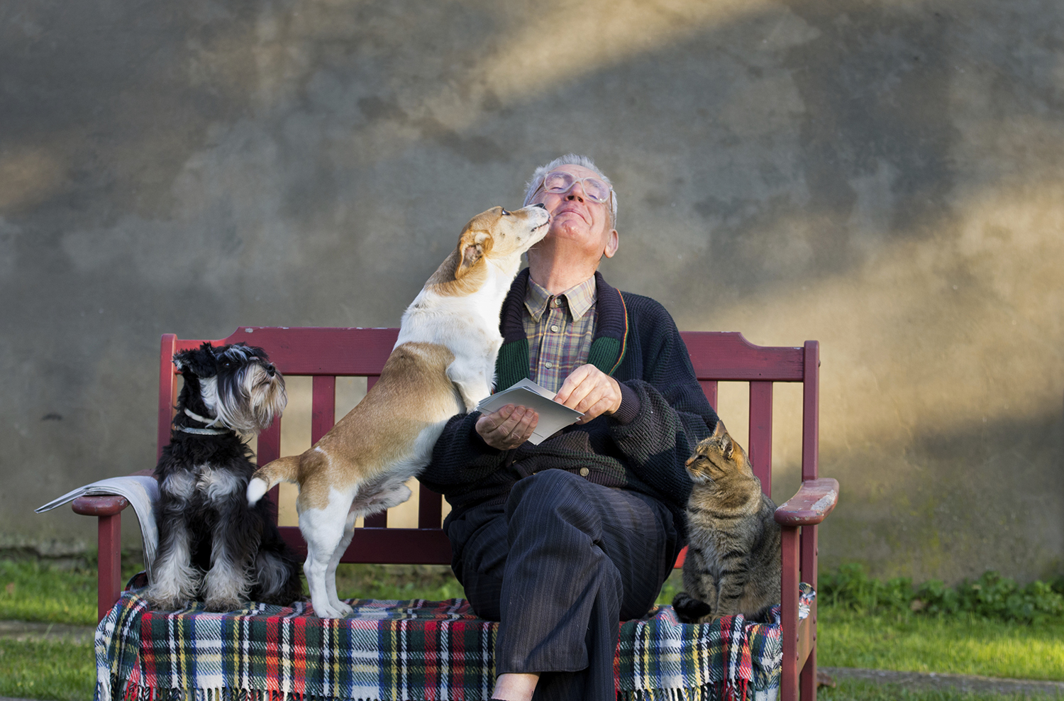  we deliver love  seniors with pets have 21% less doctor visits. we feed pets too  