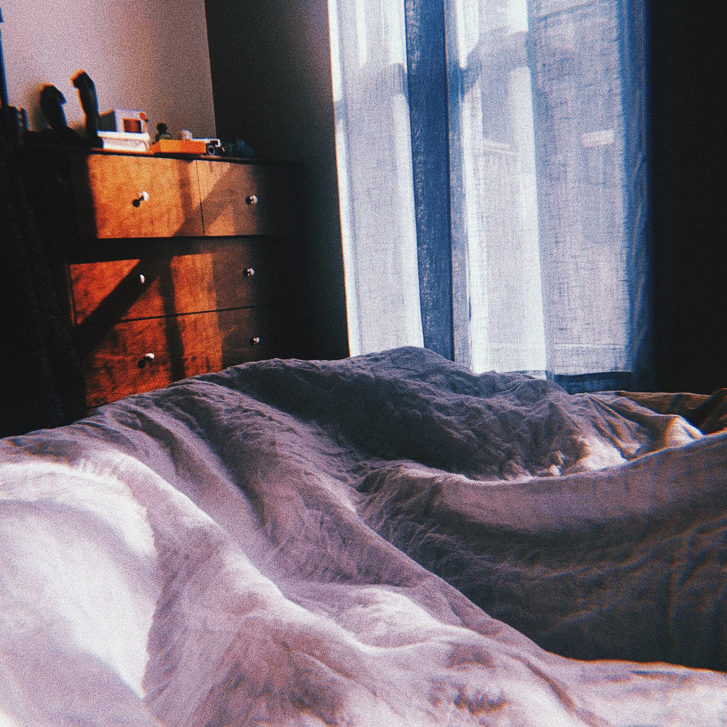 What I'm Reading This Week 