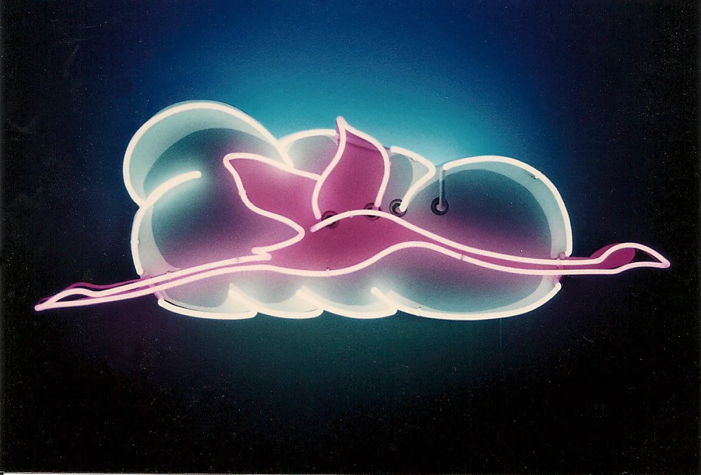aargon-neon-neon-flamingo.jpg