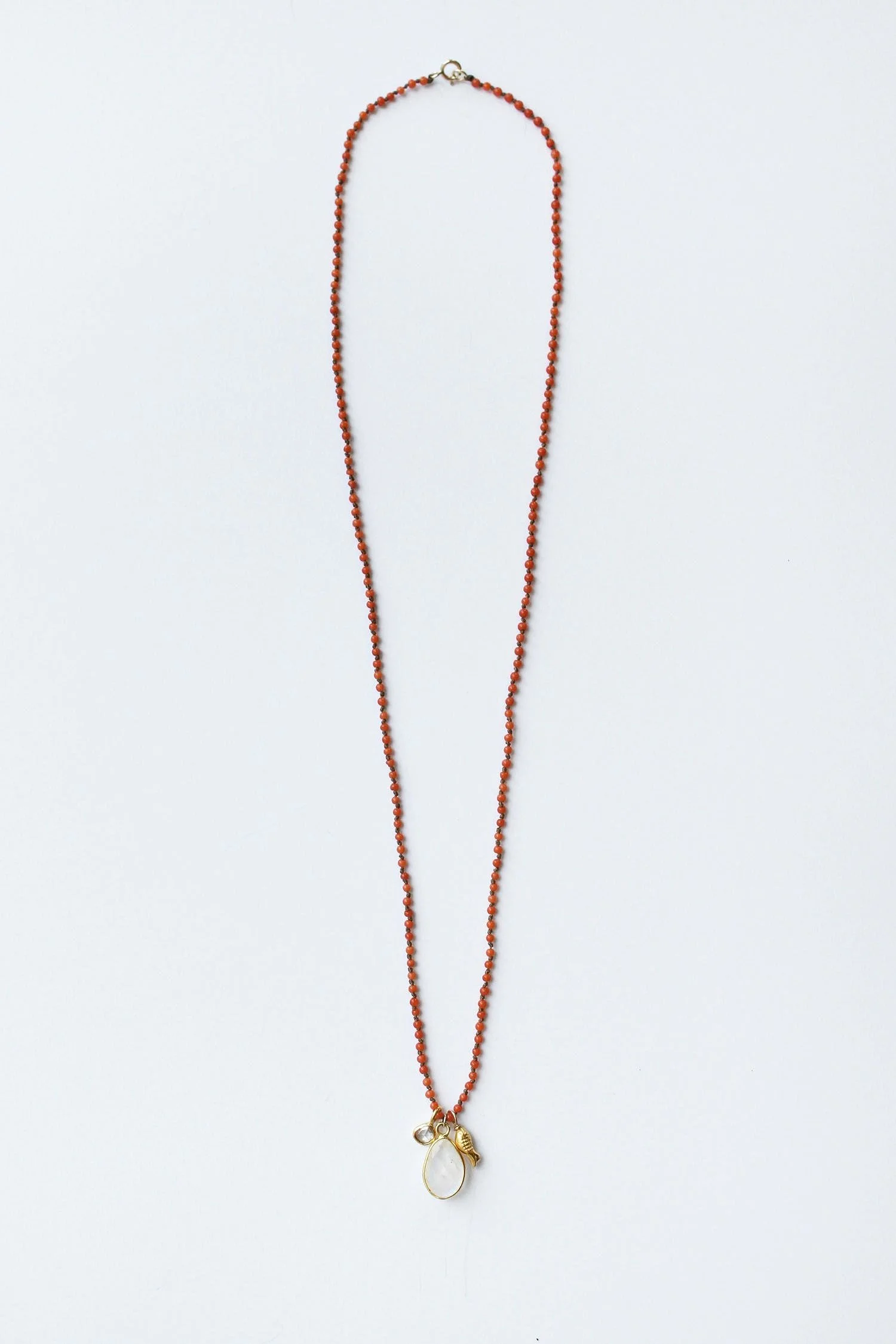SRFKOIMCN-CORAL-2.jpg
