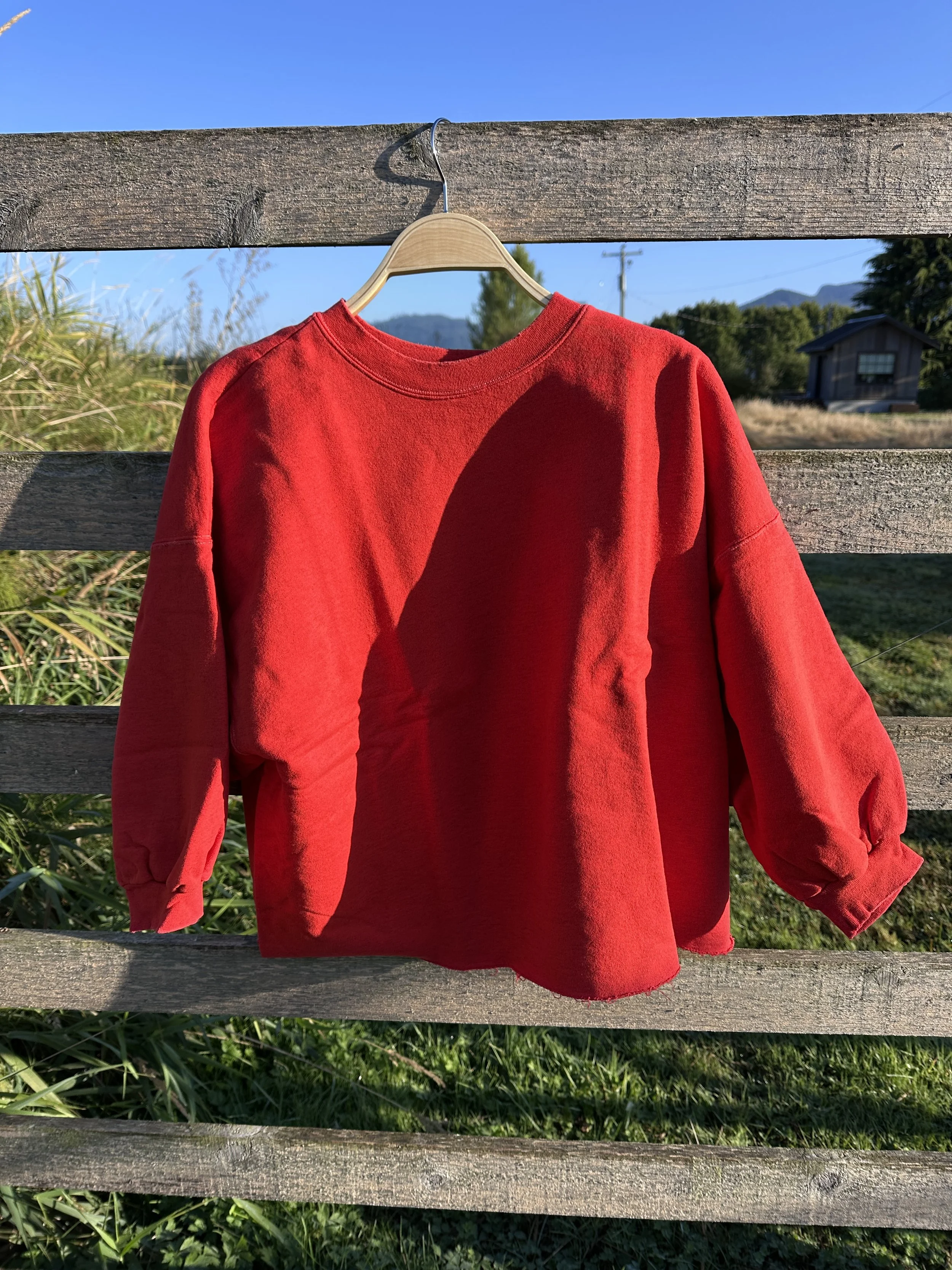Rachel Comey fond sweatshirt - cherry