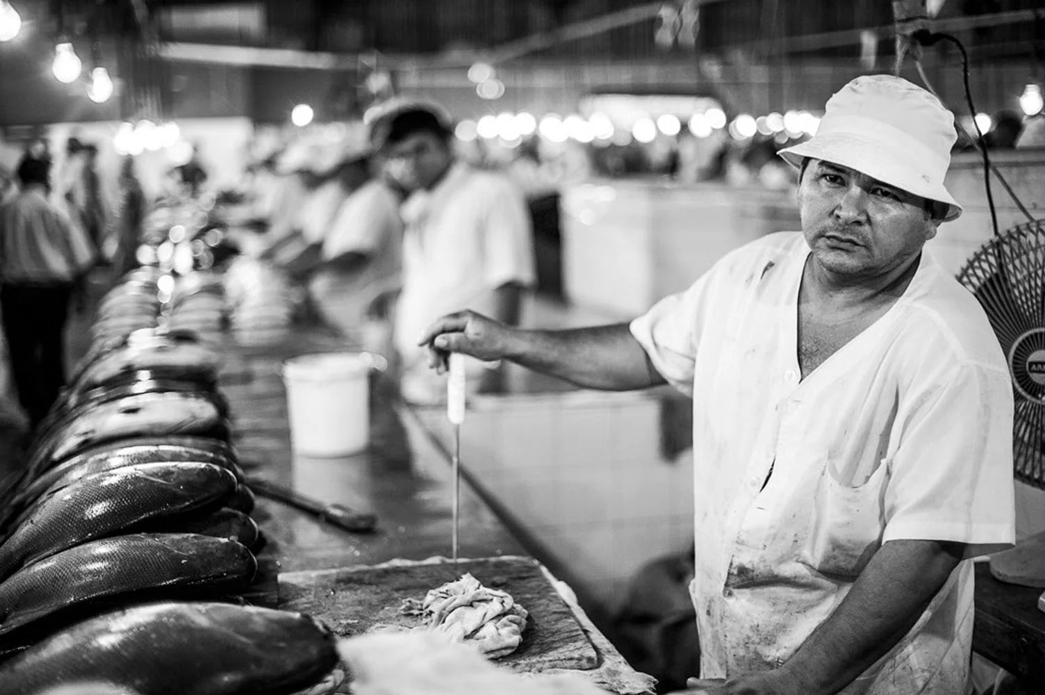 fishmarket0026druck (1).jpg