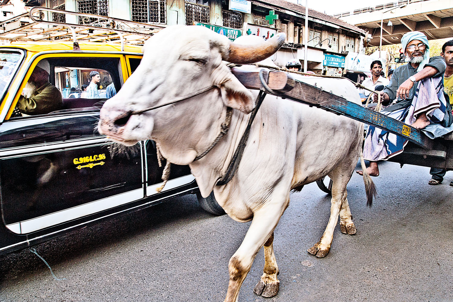  Mumbai 