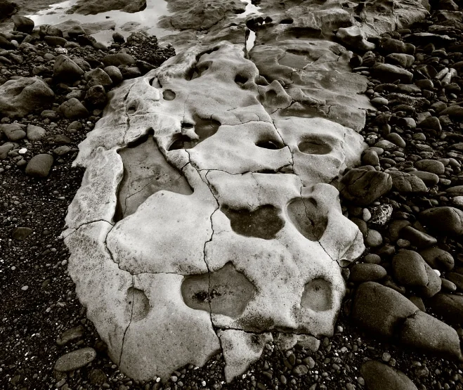  Foto by Eric Berger 