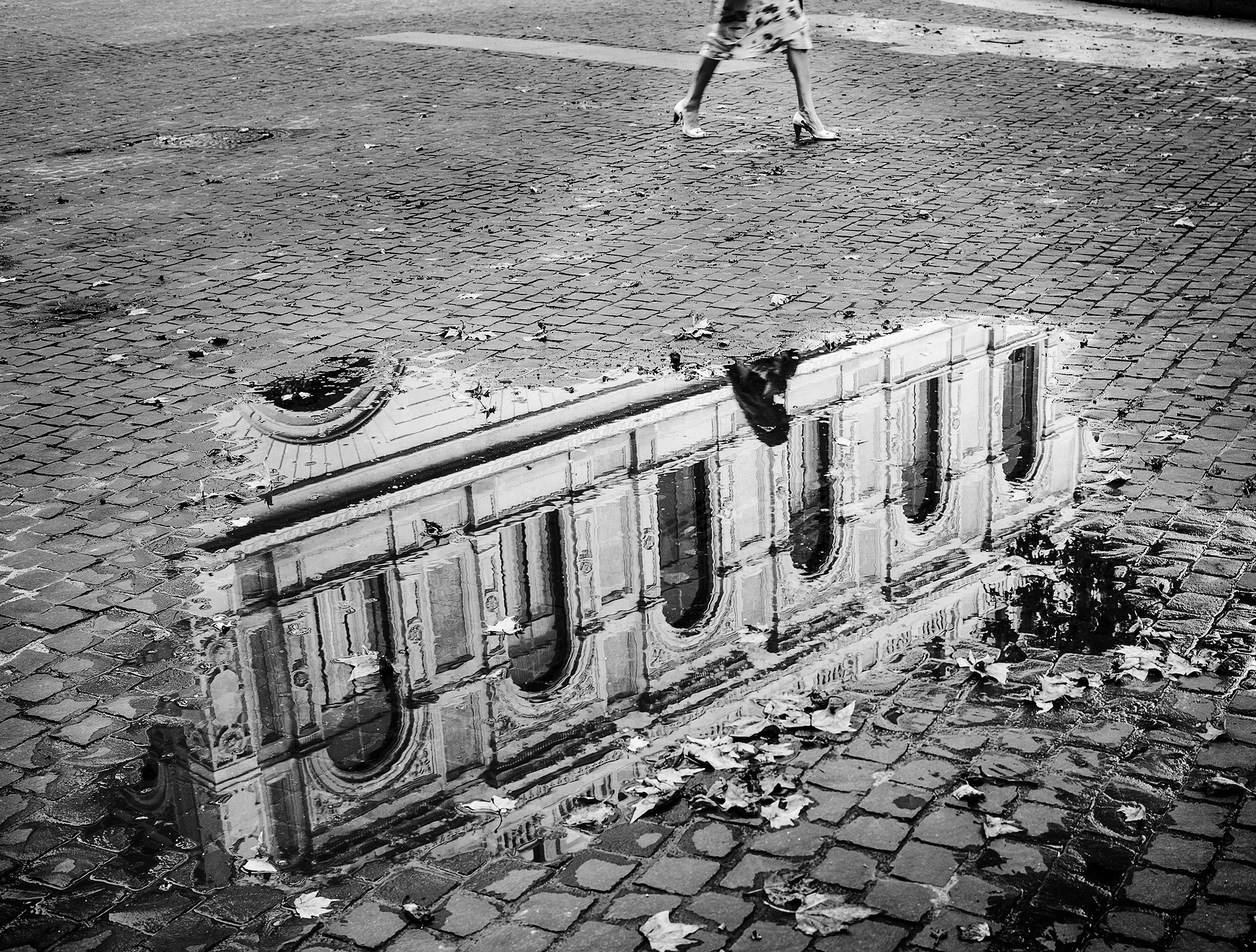  Foto by Eric Berger 