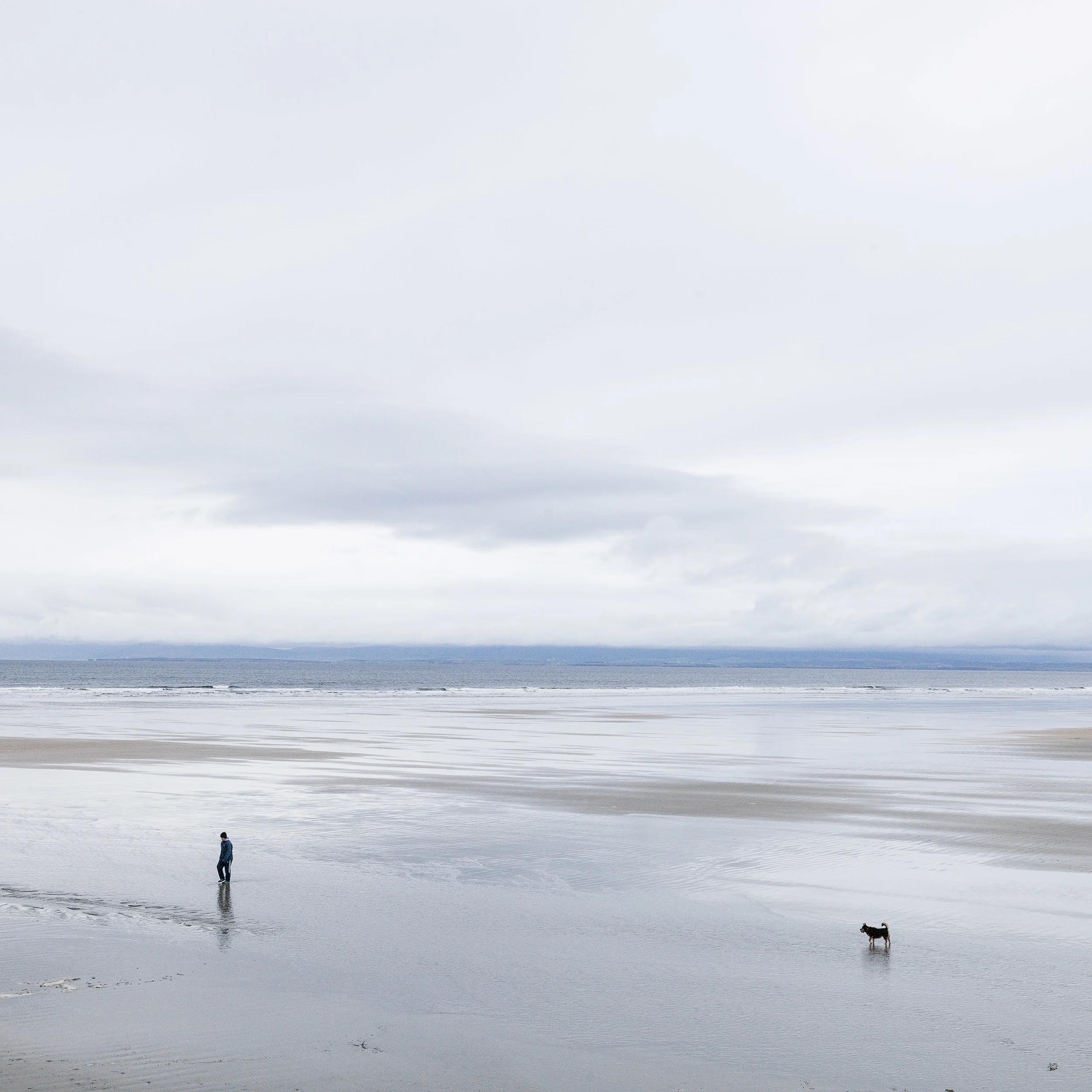 "WALK THE DOG" Copyright by Eric Berger 2016 Hasselblad H5D 50mm