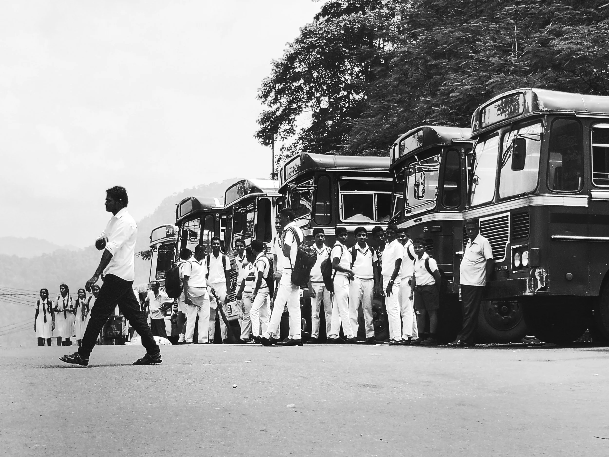 costin.mocanu hello life!.jpeg