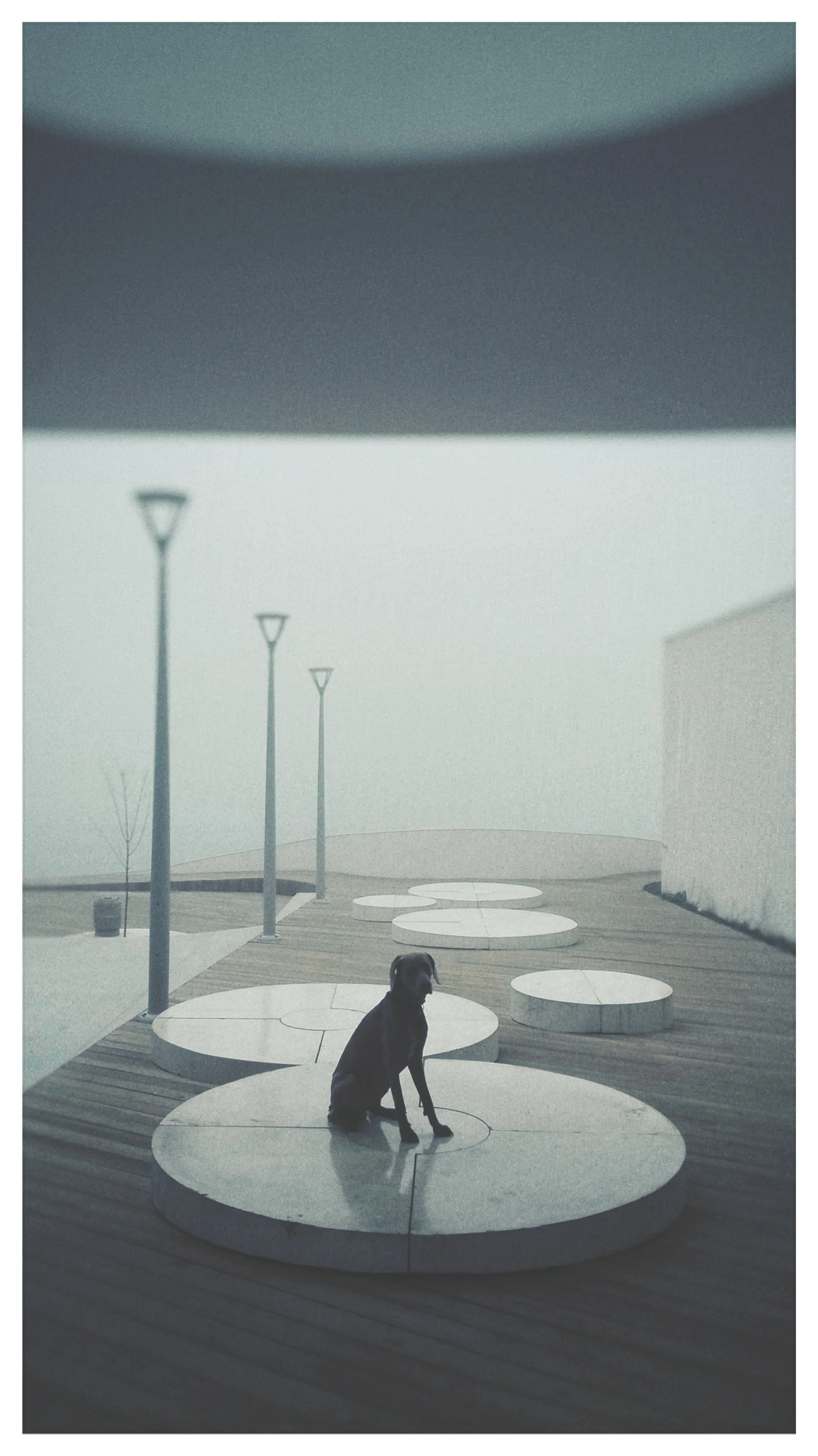 emiliobgr check in 2.jpeg