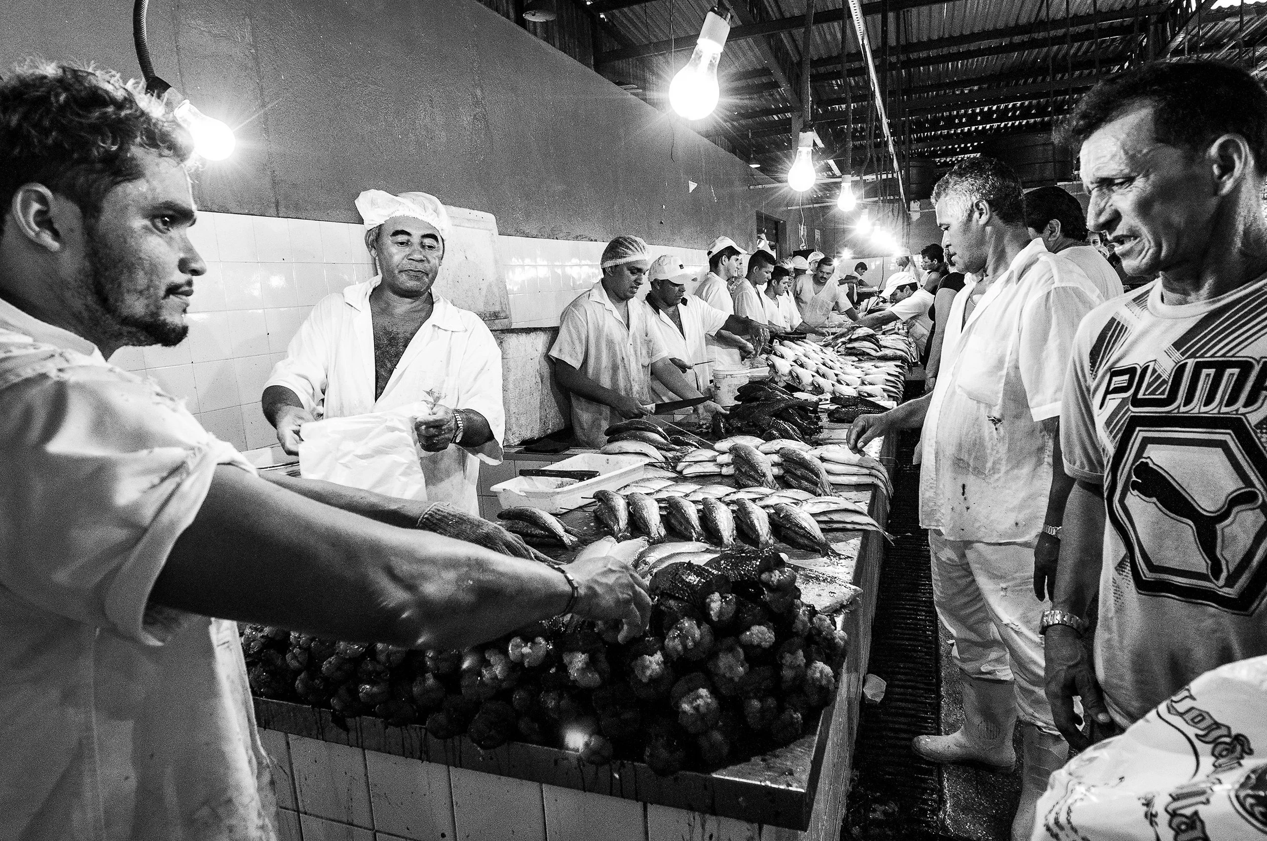 fishmarket0013.jpg