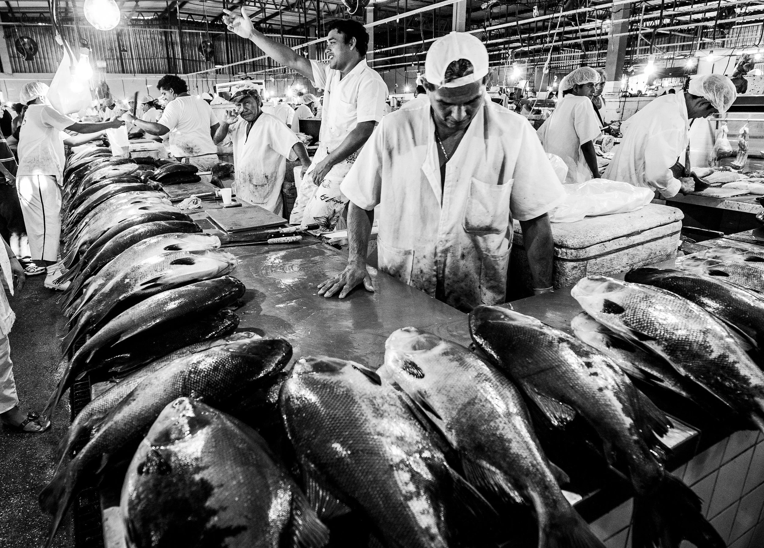 fishmarket0024.jpg