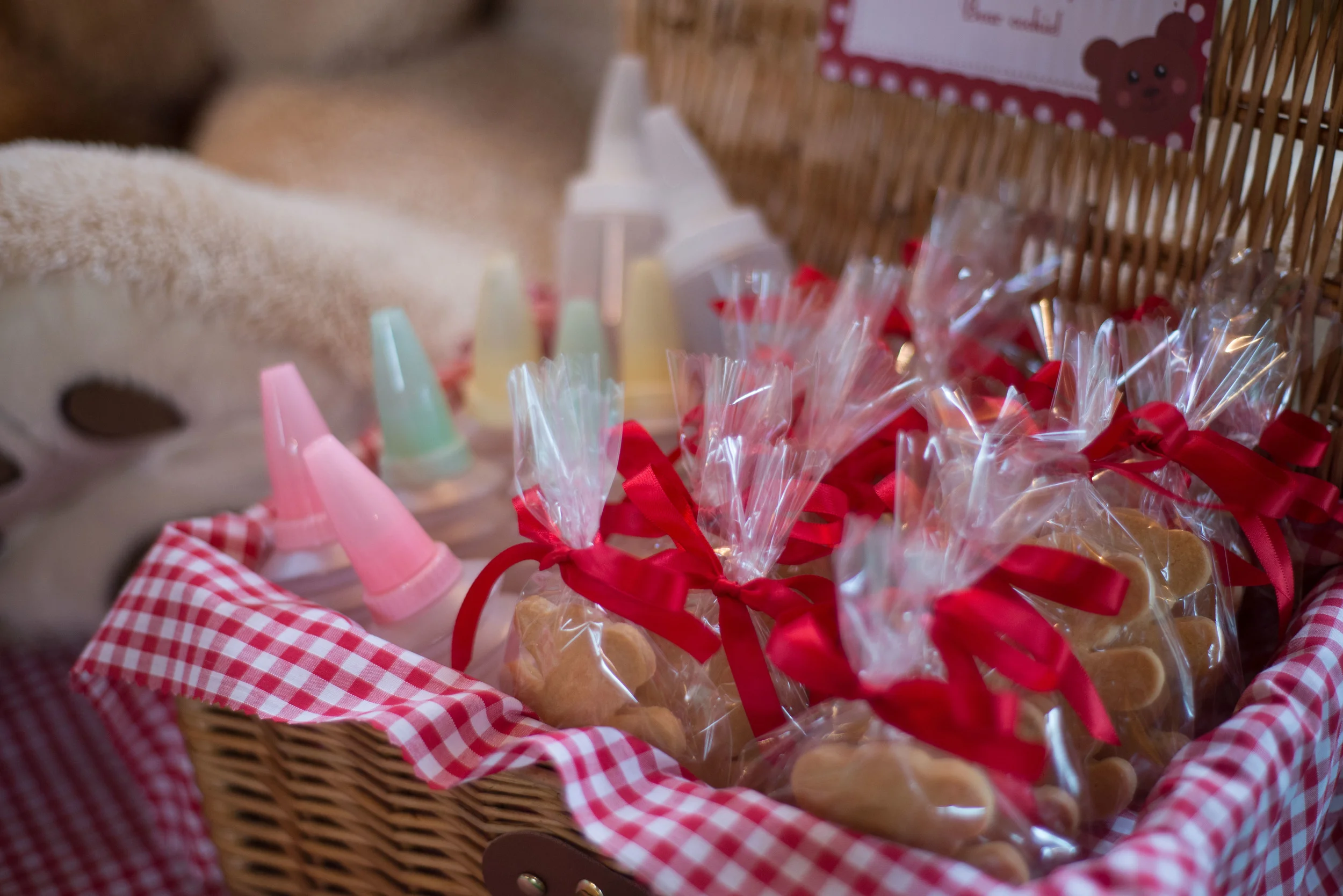 Teddybearspicnic-17.jpg