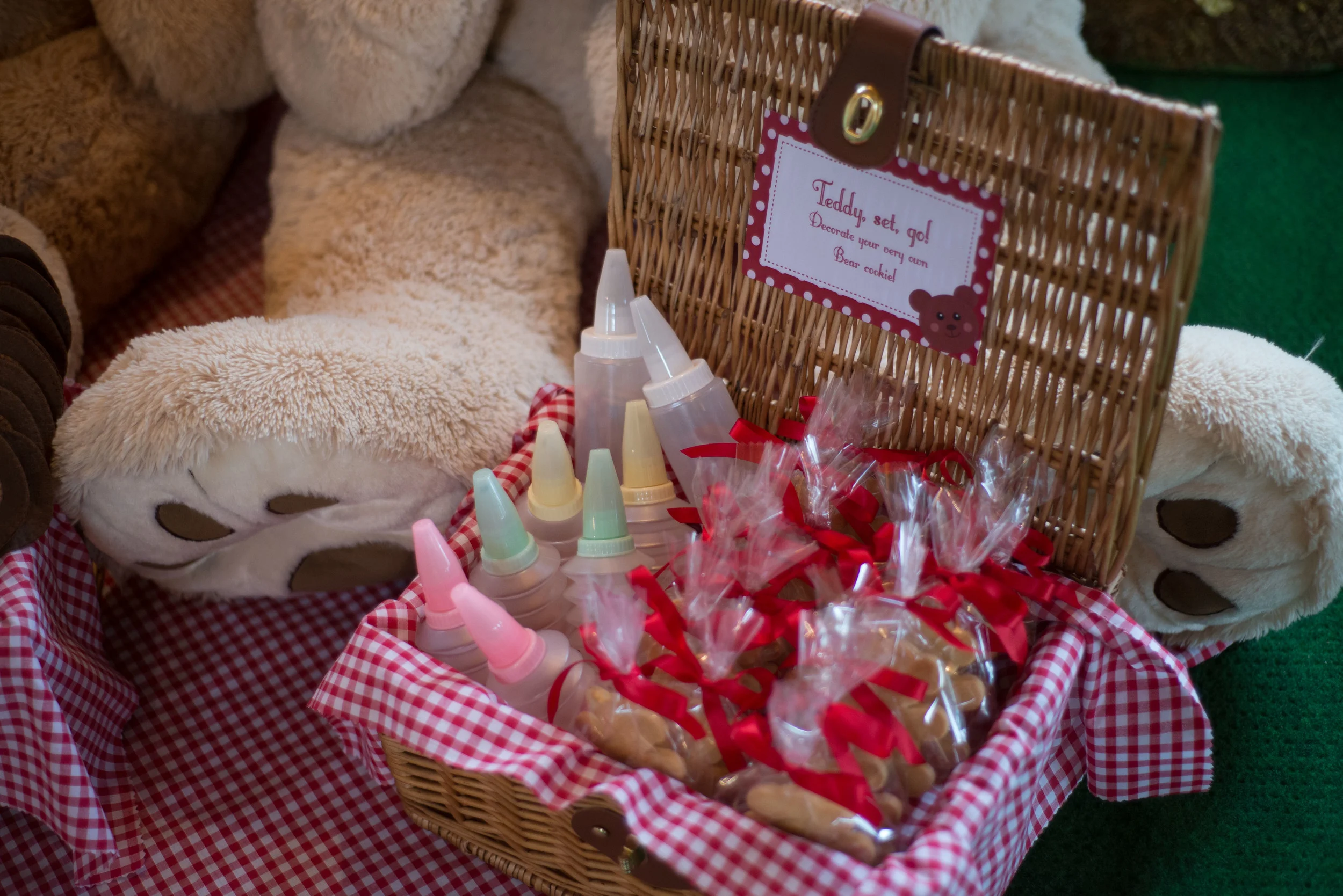 Teddybearspicnic-18.jpg