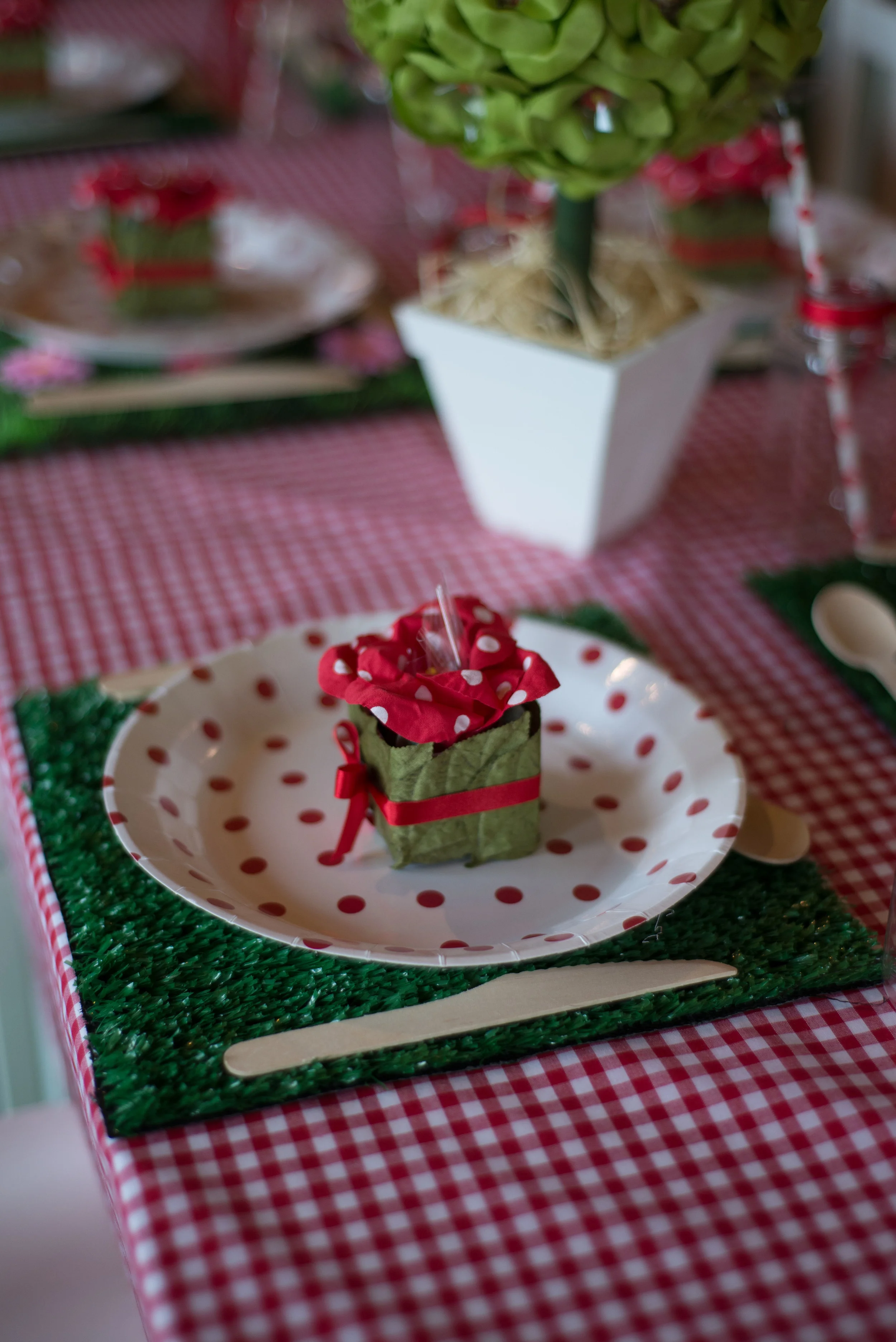 Teddybearspicnic-55.jpg