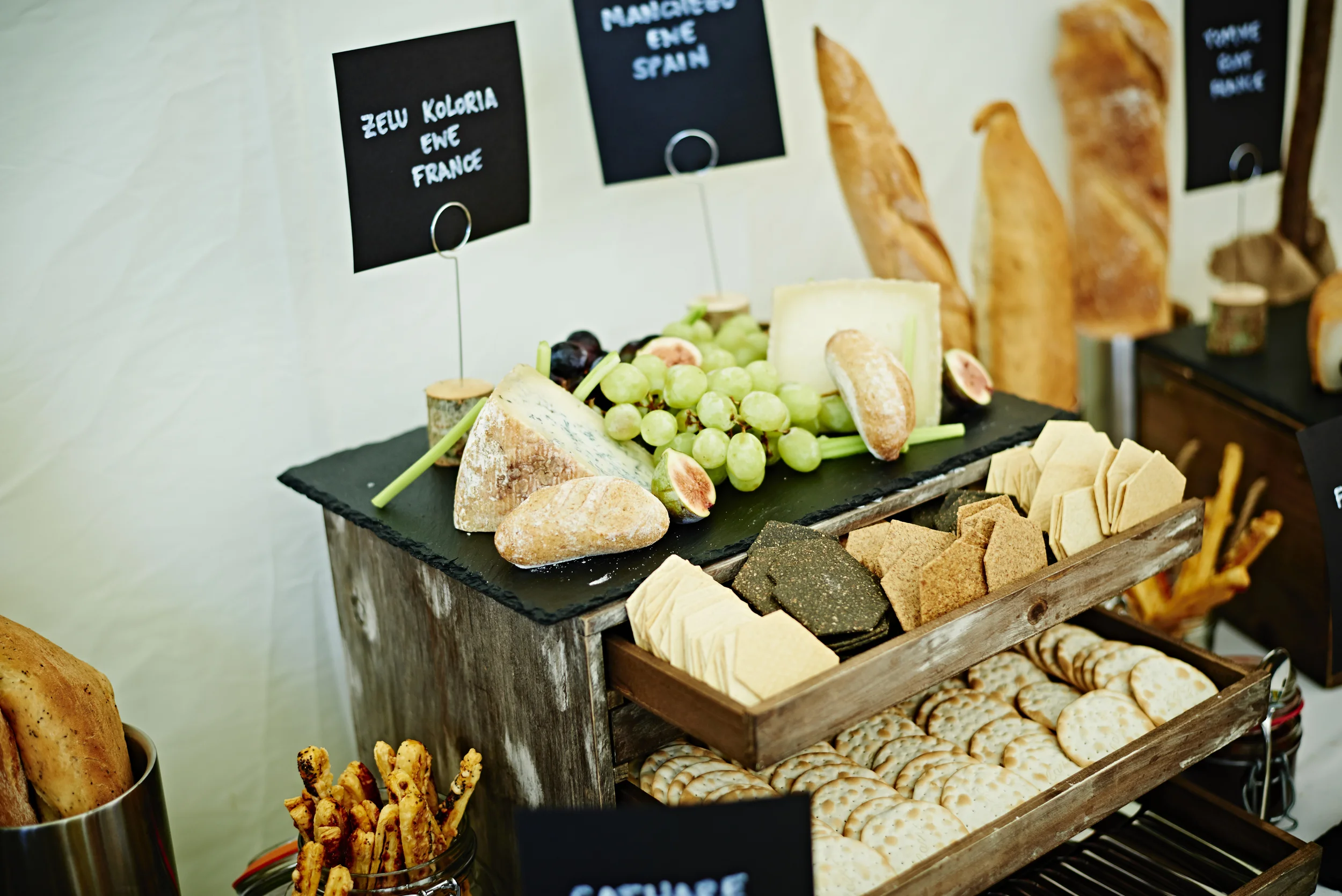 140802_Raccoon_PARTY_1058.jpg