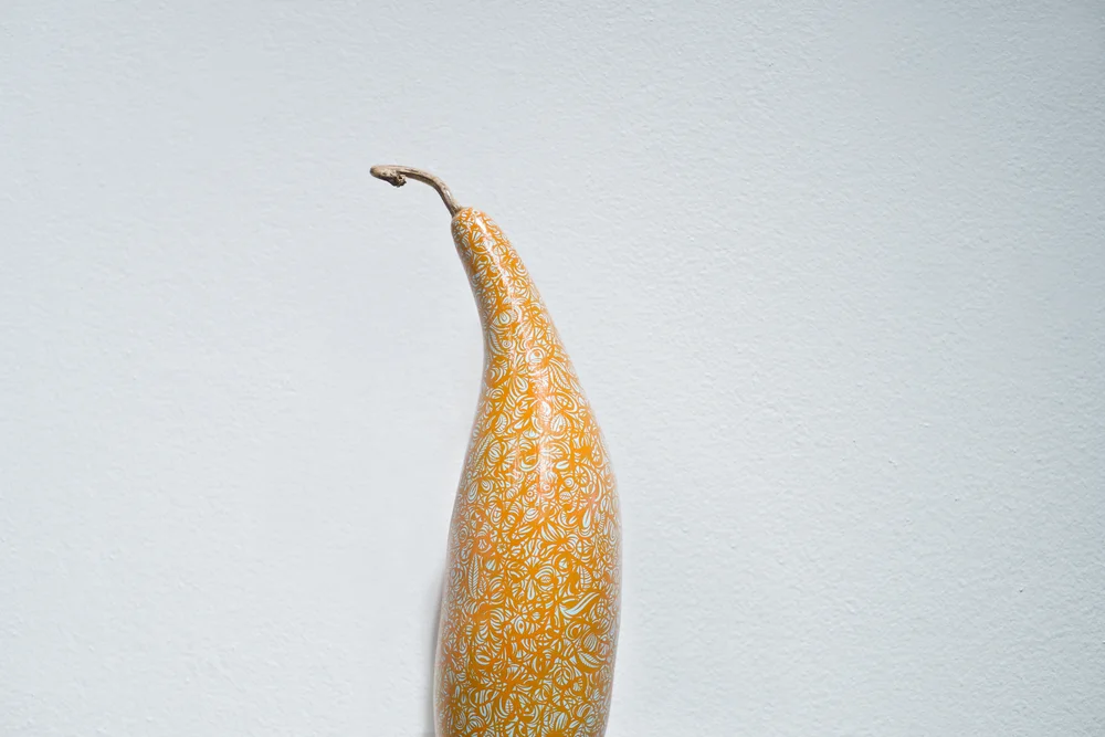 Thomas Campbell Doi Project — Liquid Salt