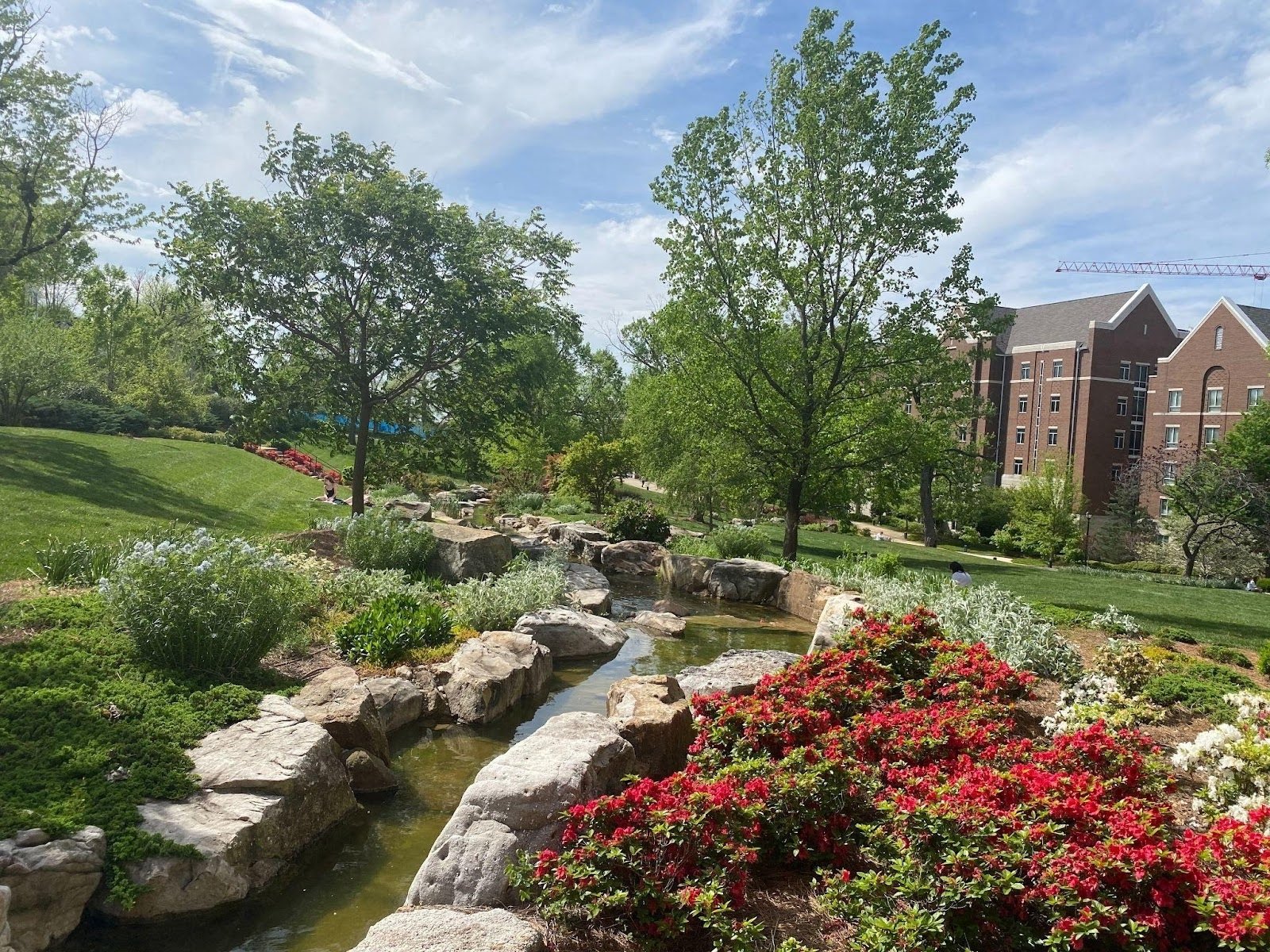 The creek that runs through the lawn of the upperclassmen apartment lawns has always been a calm and relaxing place to me. It takes me back to my hometown and relaxing by or fishing in the Stones River.