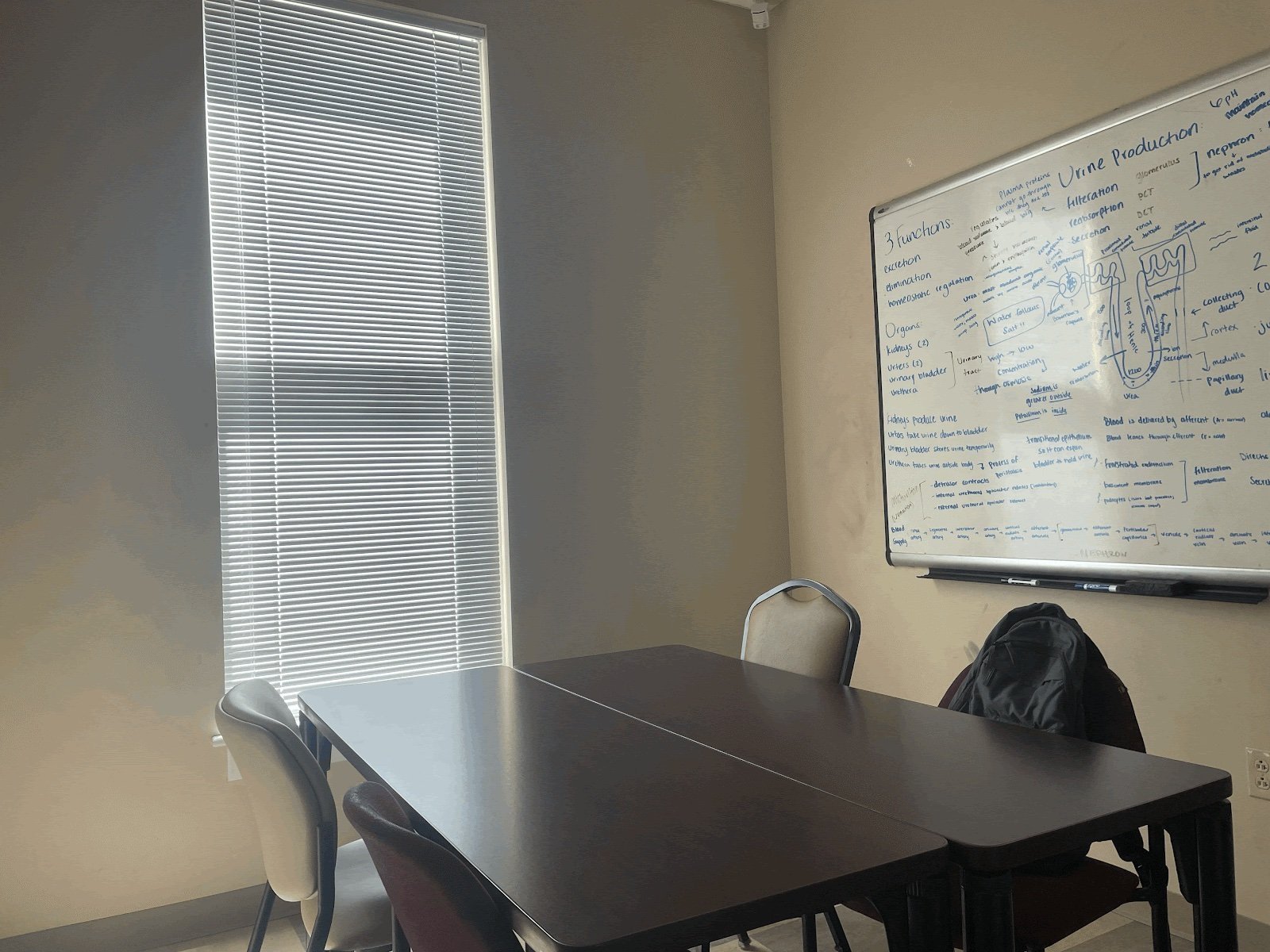 My favorite place on campus stems from a simple study room. Despite its mundane exterior, the study room offers me a refuge from the outside world, a space for when I need some alone time. With light emanating through the blinds, the room morphs int