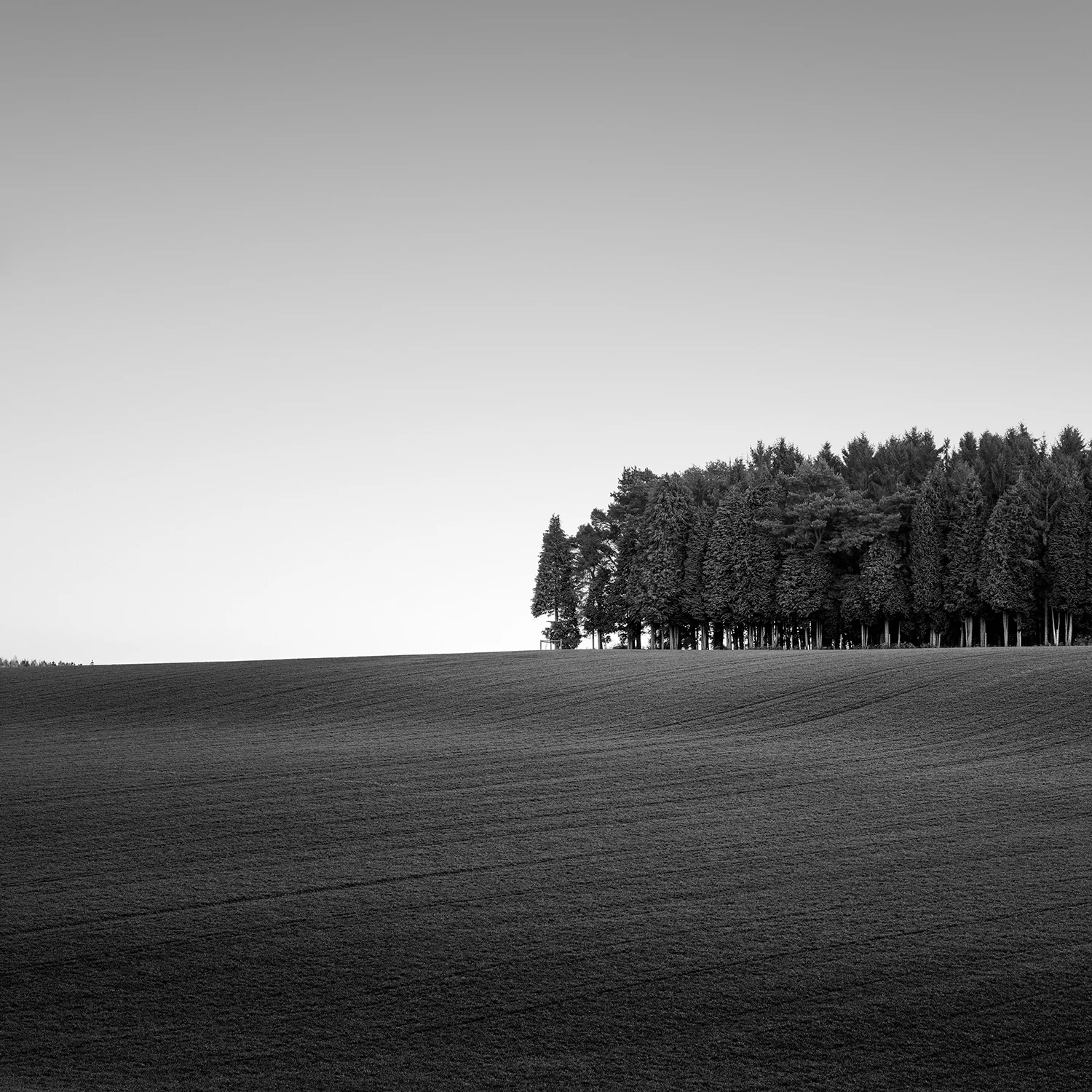 huddle - pease pottage, west sussex 2018 PRINT: £175 | FRAMED: £195