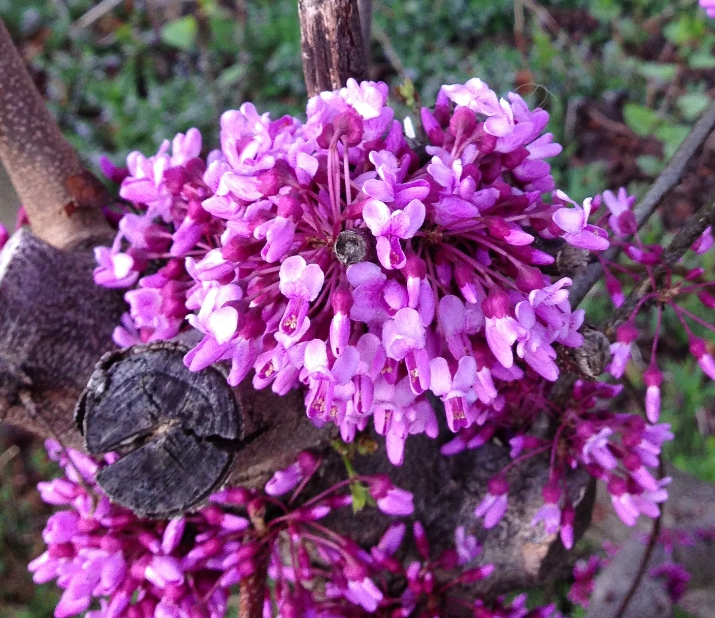 Google Security Checkups and Your Devices