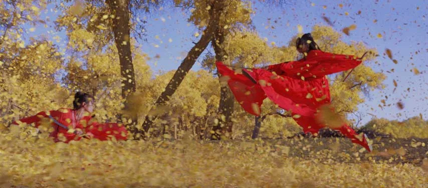 Zhang Yimou's HERO