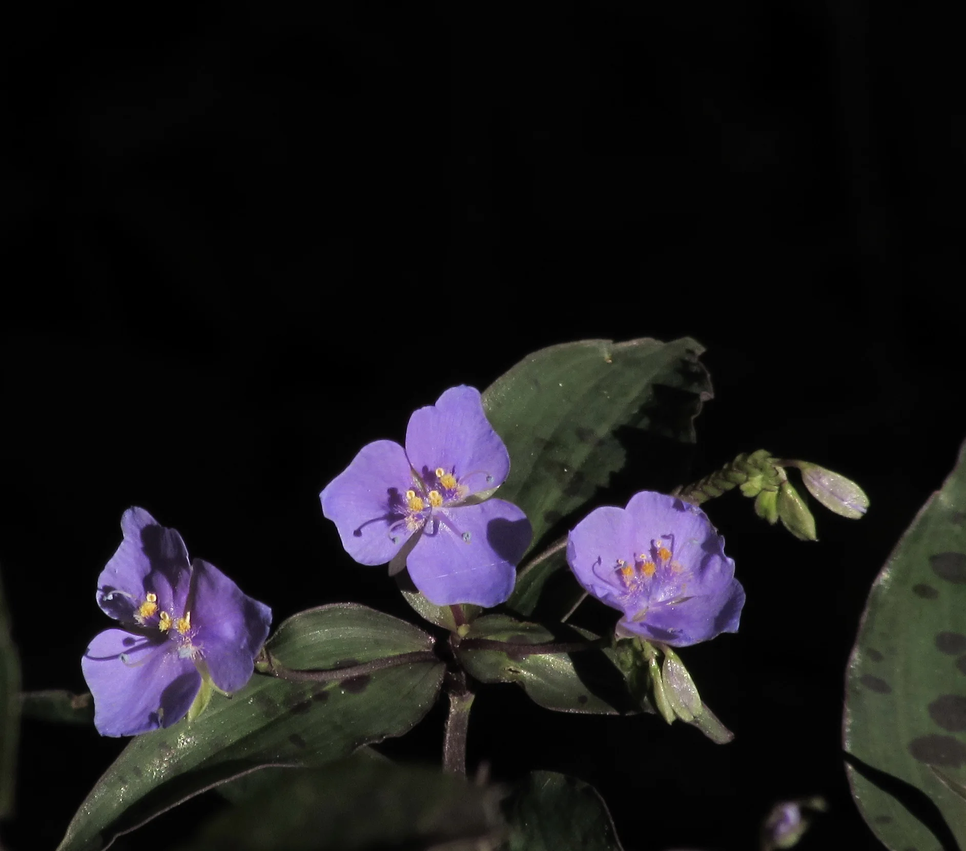 How Will Mobile Devices In the Workplace Make People More Productive?