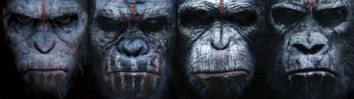 Matt Reeves' DAWN OF THE PLANET OF THE APES