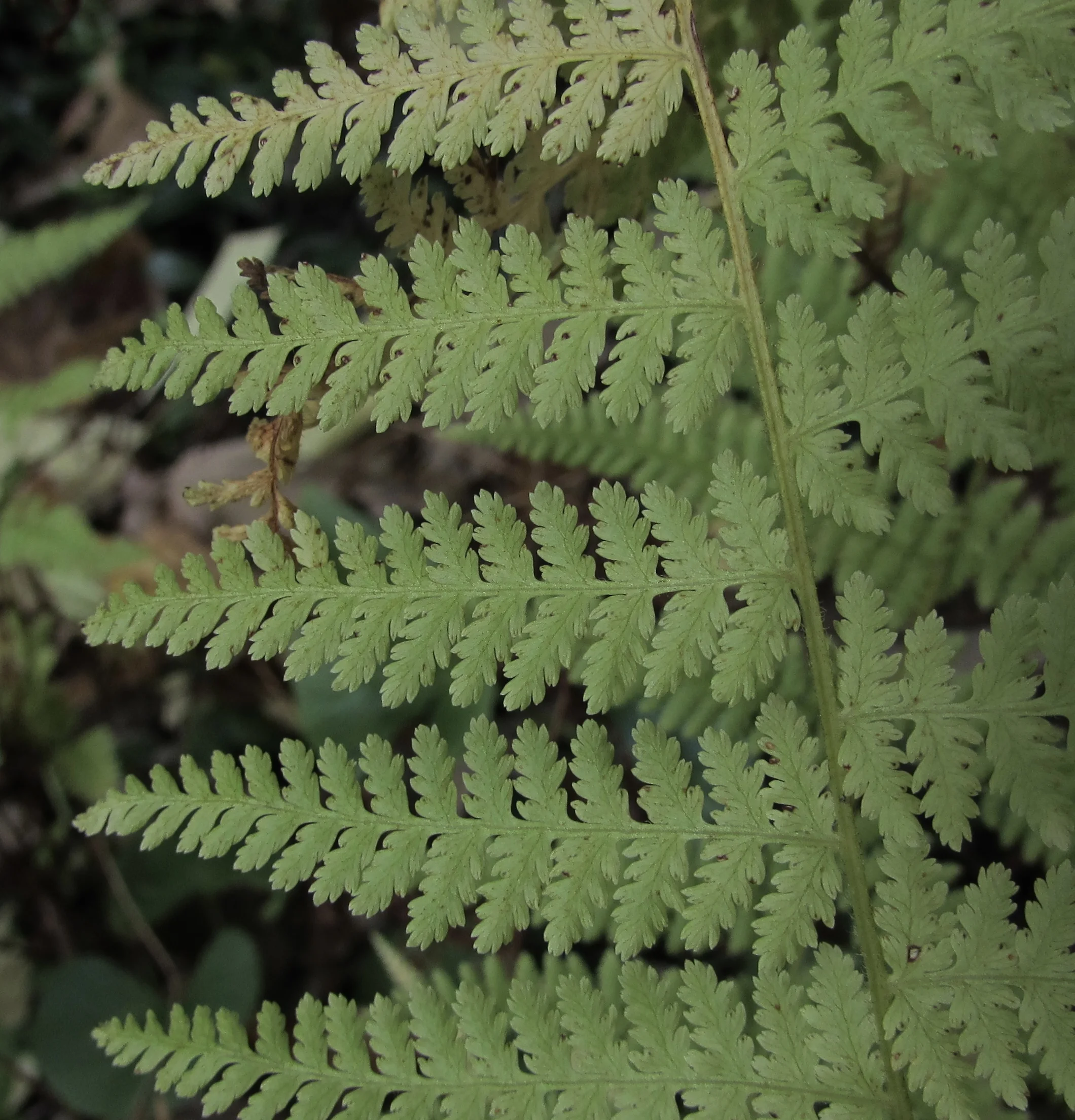 How To Combat “Data Trutherism”