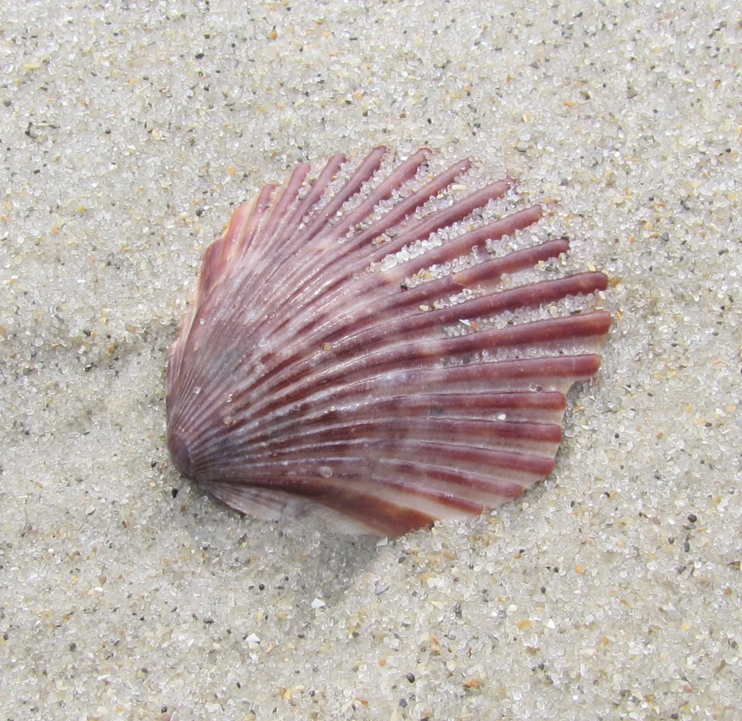 AGA’s Citizen Centric Reporting and Government Transparency