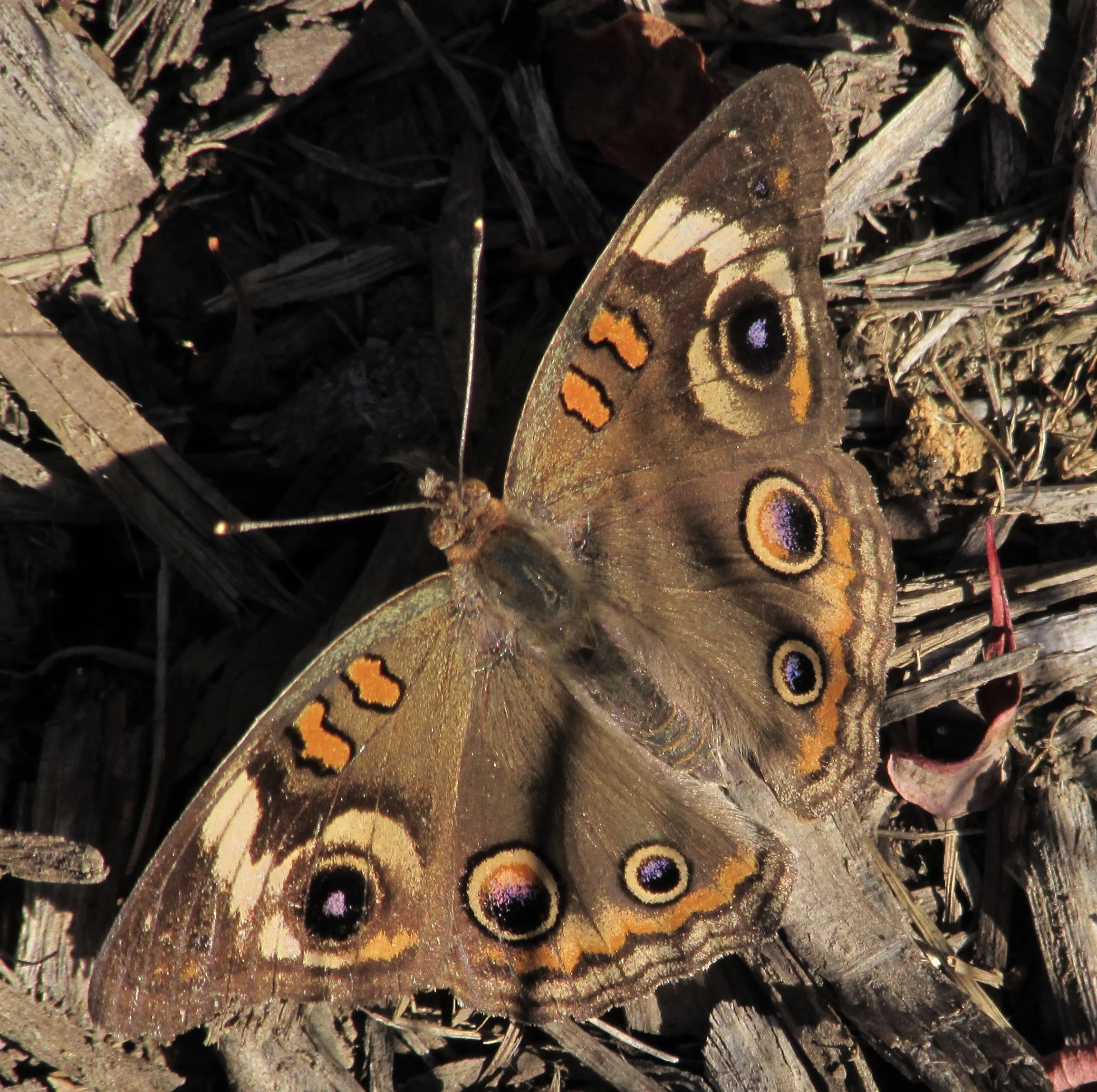 Fake News Is Not the Only Threat to the Internet