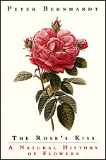 Peter Bernhardt's “THE ROSE'S KISS: A NATURAL HISTORY OF FLOWERS”