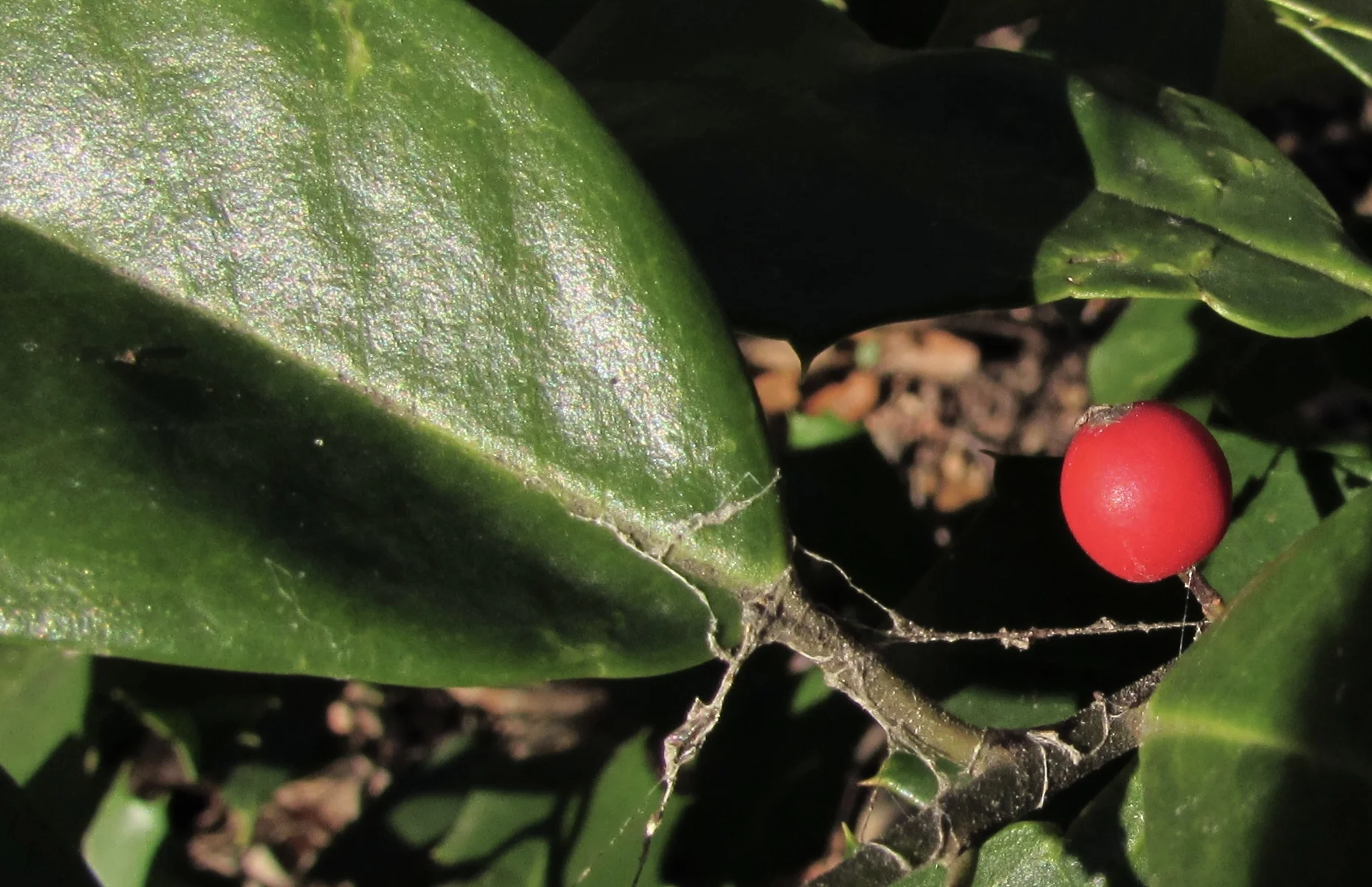 How “Open and Transparent" Should Federal Infrastructure Spending Data Be?