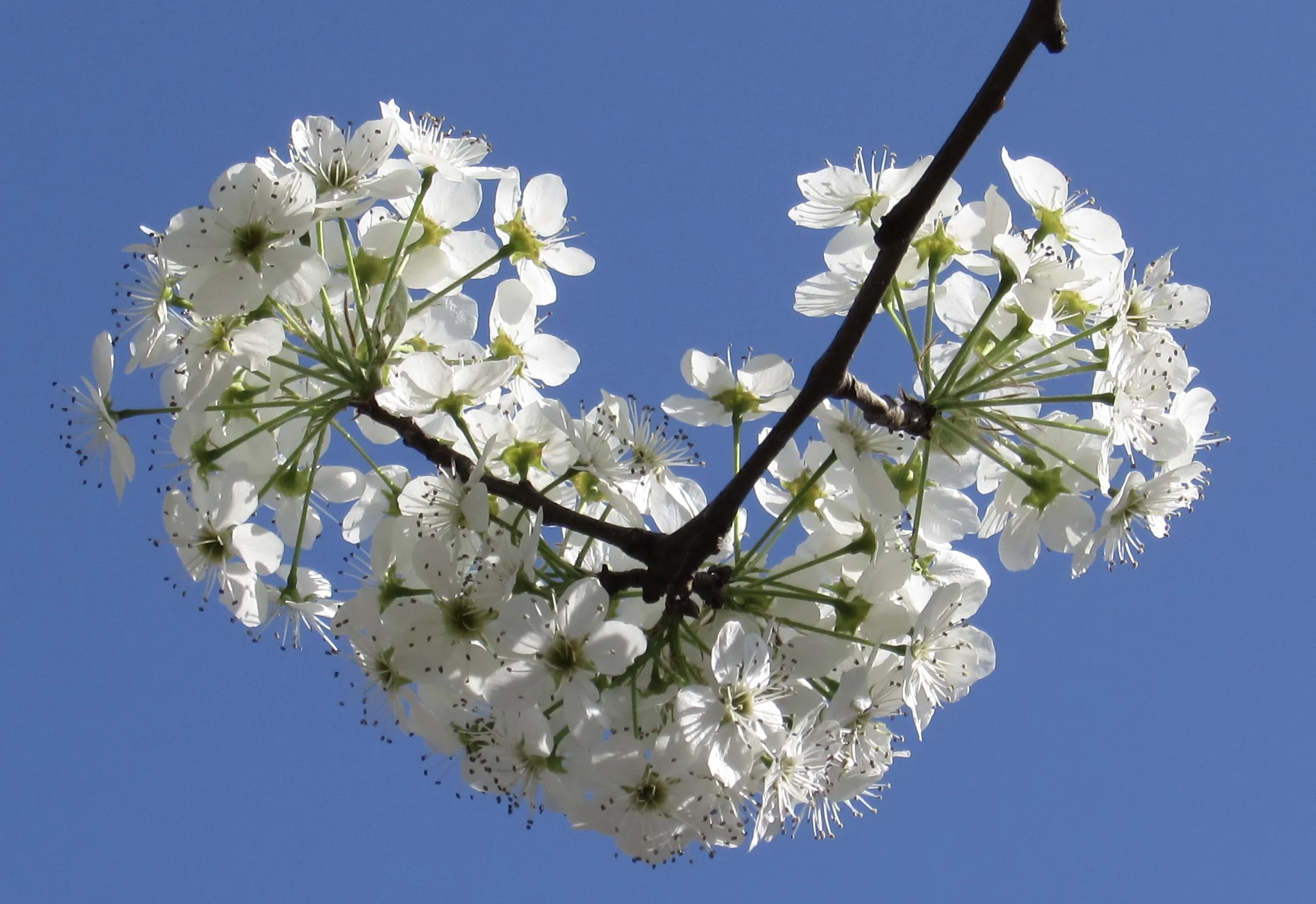 How Will the Trump Administration Affect U.S. Science?