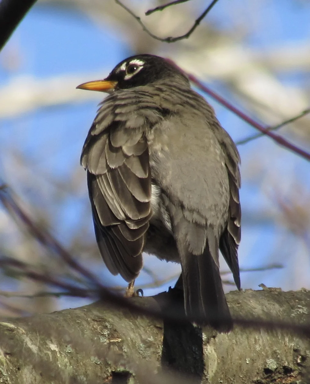 One Simple Way To Make Your Tweets More Credible