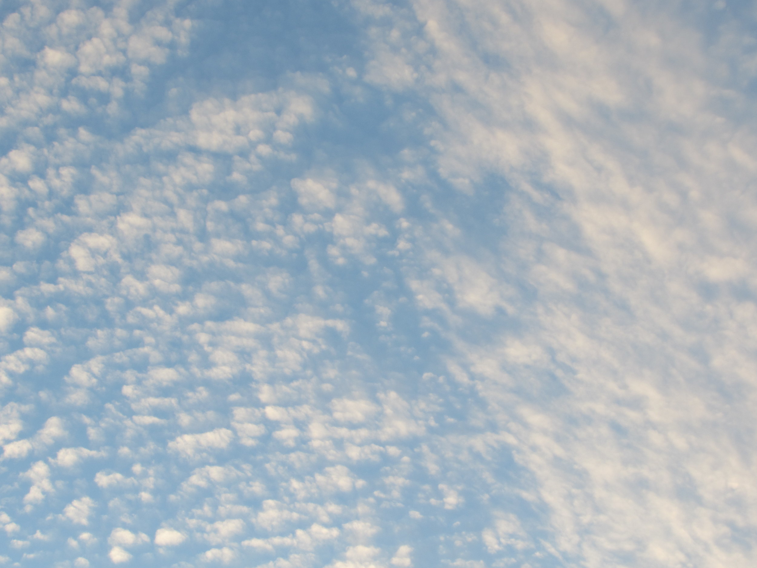 A Project Manager's Perspective on the GAO’s Federal Data Transparency Report