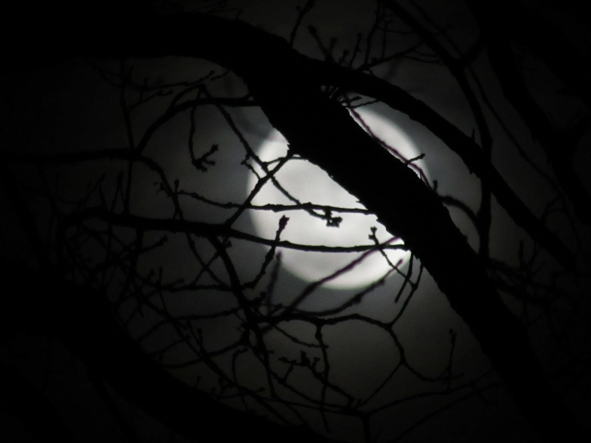 Social Media and Enhancing the Engineering Profession's Image