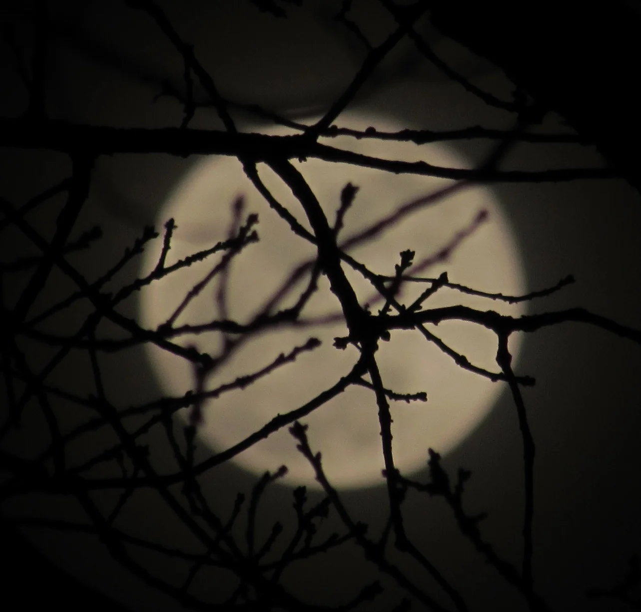 On Building a “Data Culture” in a Real Organization