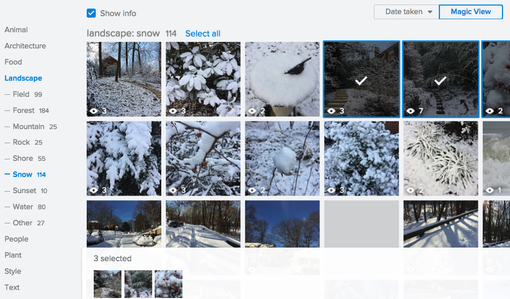 Flickr MAGIC VIEW Automagically Organizes Your Photos