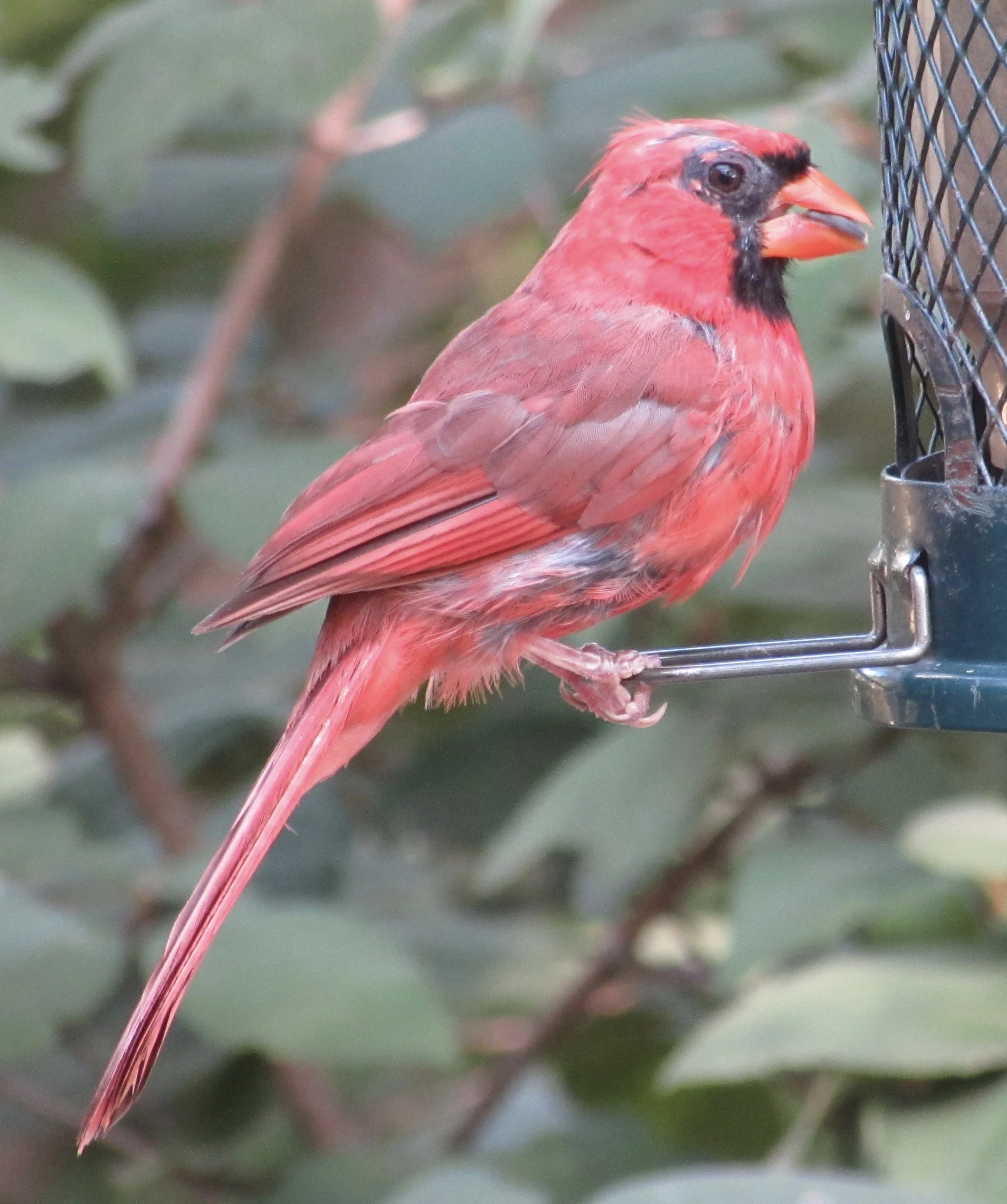 Who Knows What Google Should Do With Glass?