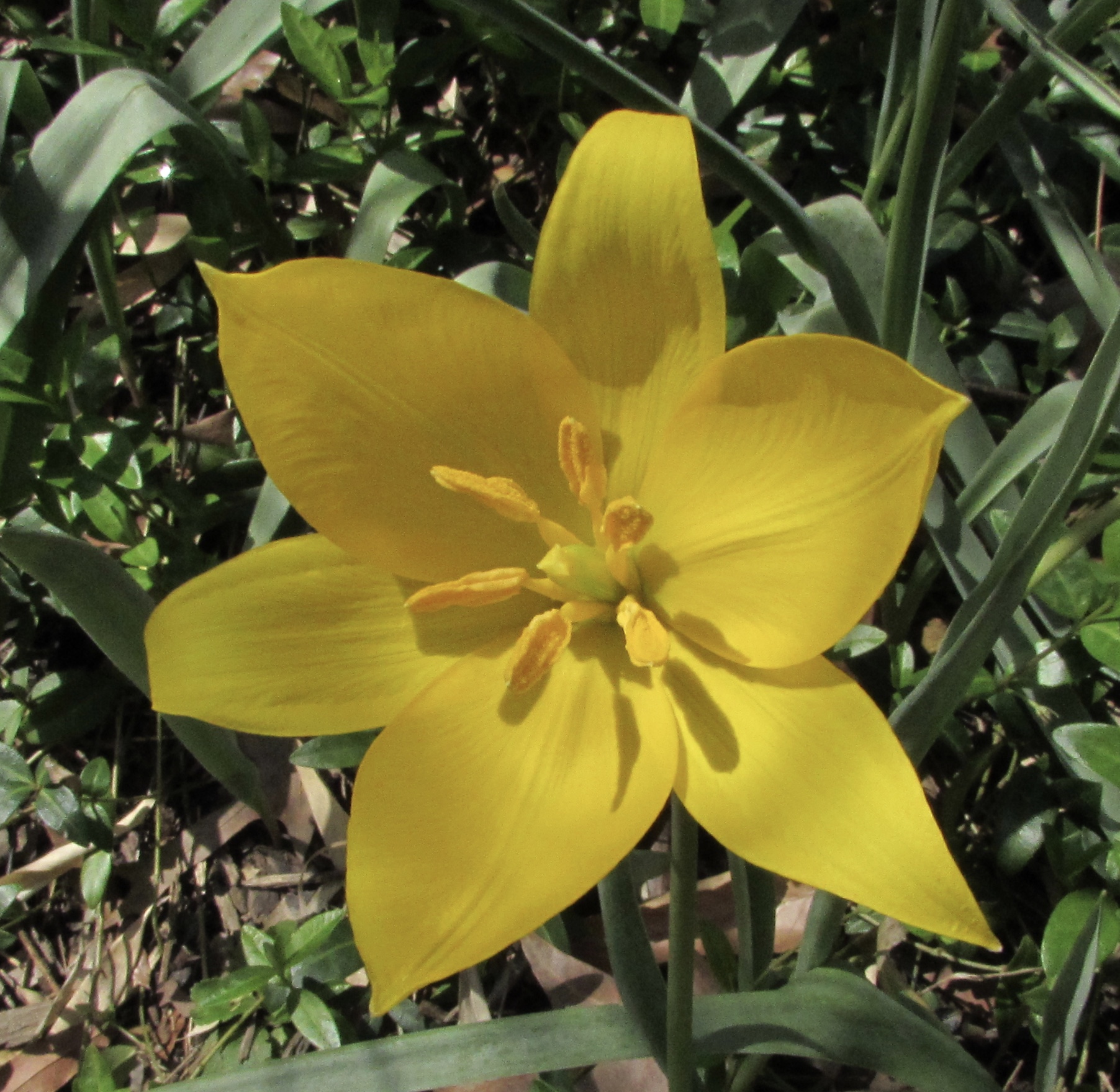 Engaging with the Millennials on Your Project's Team