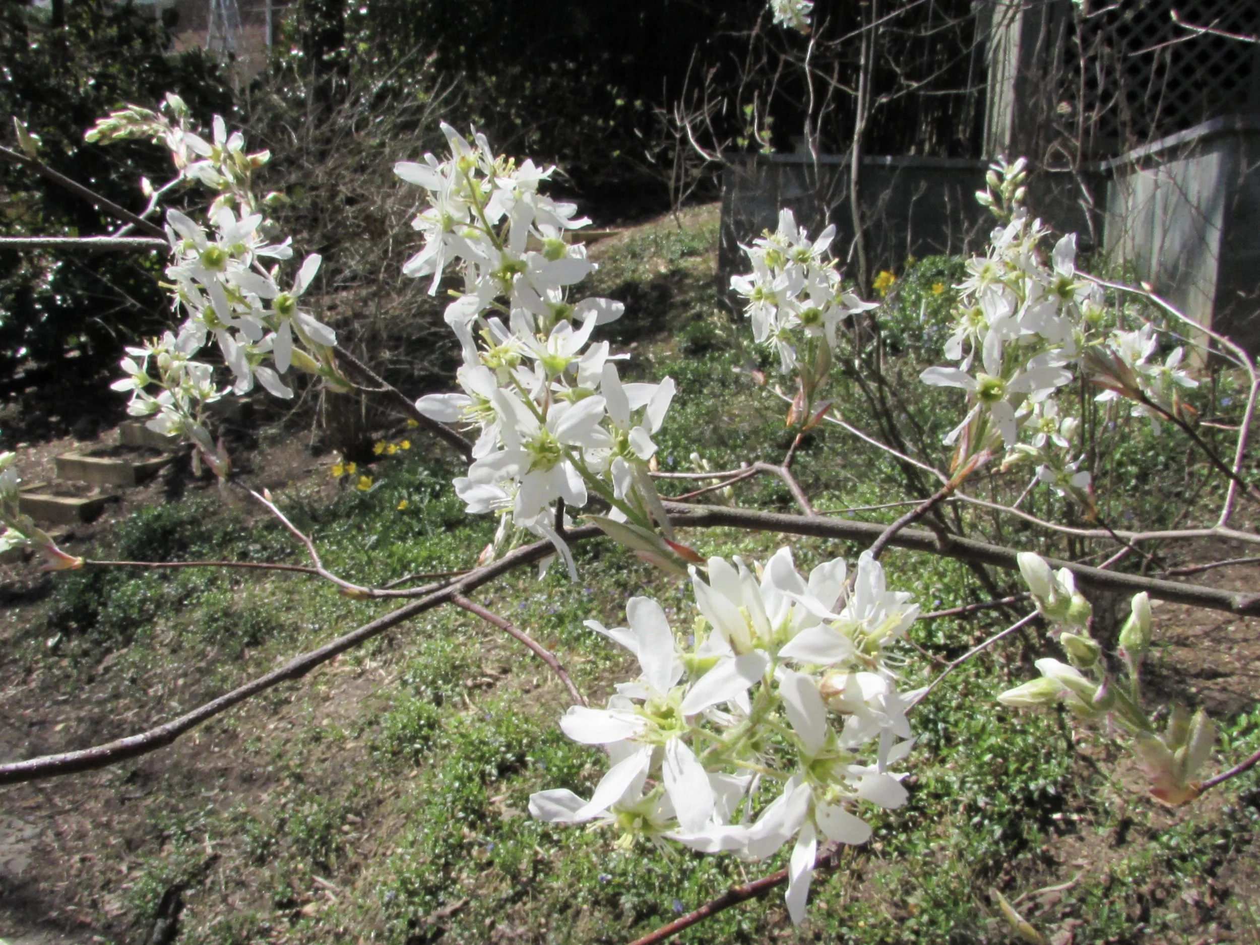 Can Open Research Data Prevent Errors, Pain, and Suffering?