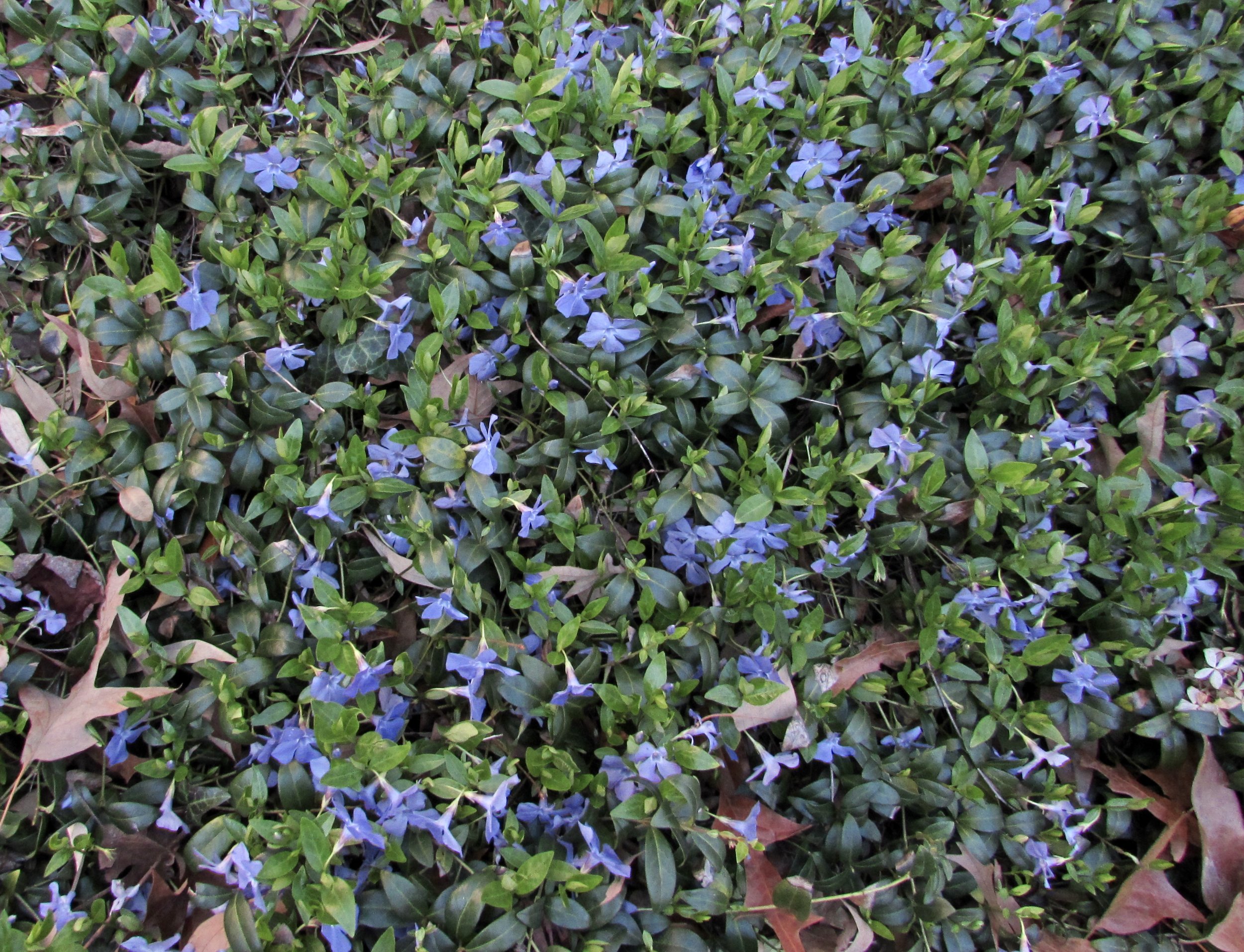 Just Measuring Government Performance Is Not Enough