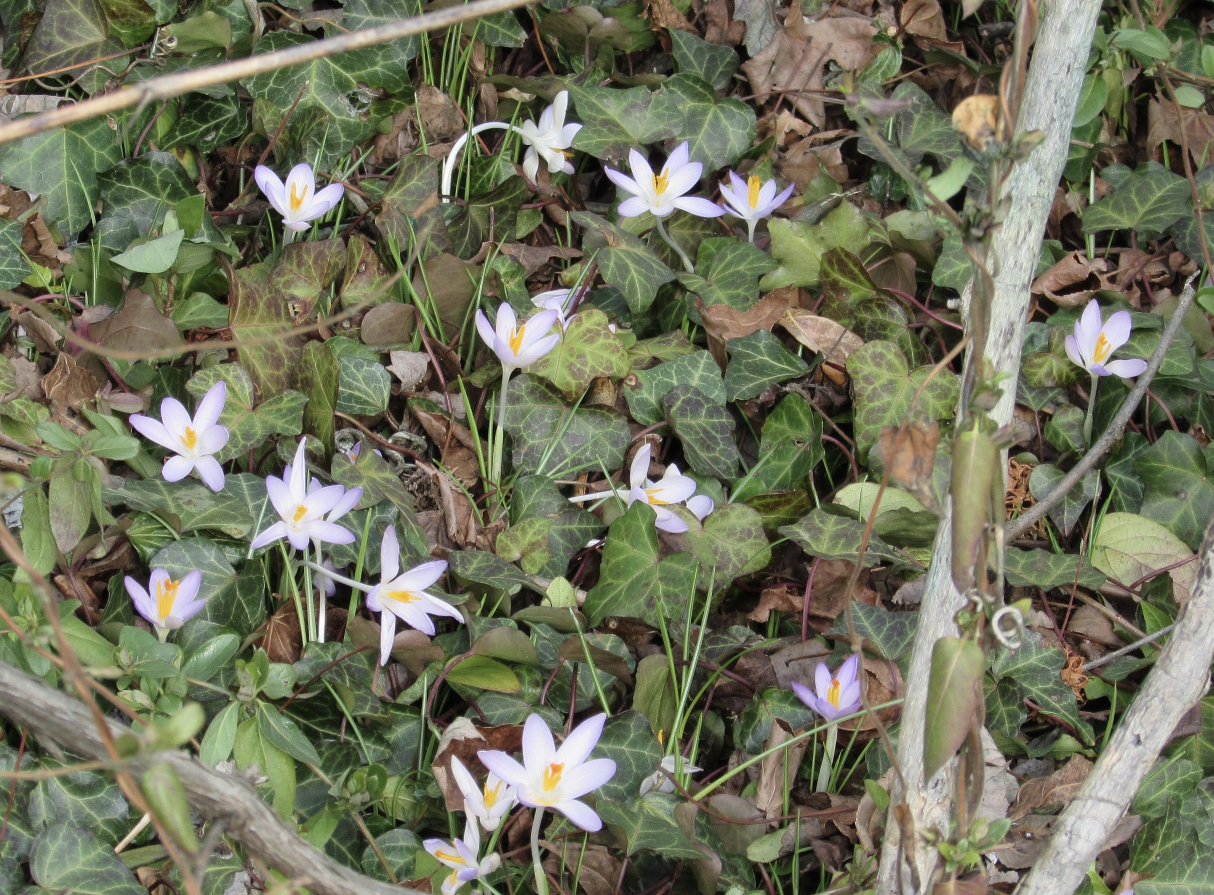 Should You Outsource Your Organization's Innovation Processes?