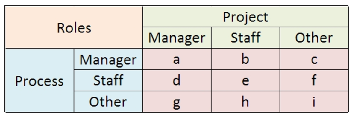 Some Implications of the Overlap Between Project and Process Roles