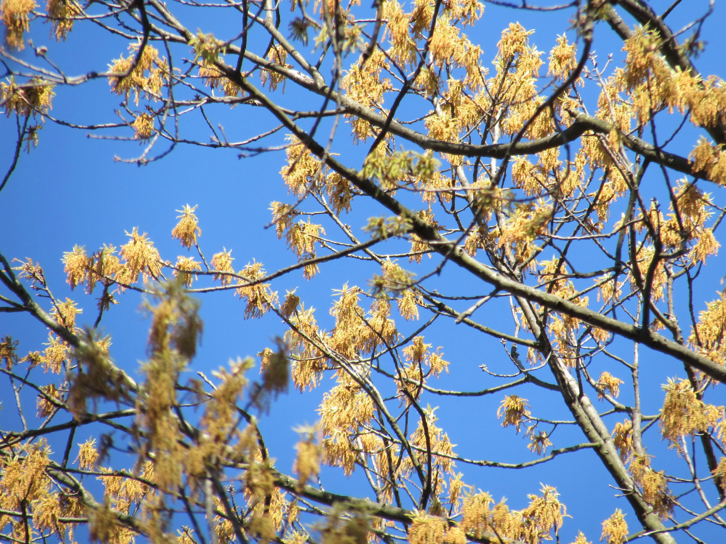 Collaboration Can Be Messy