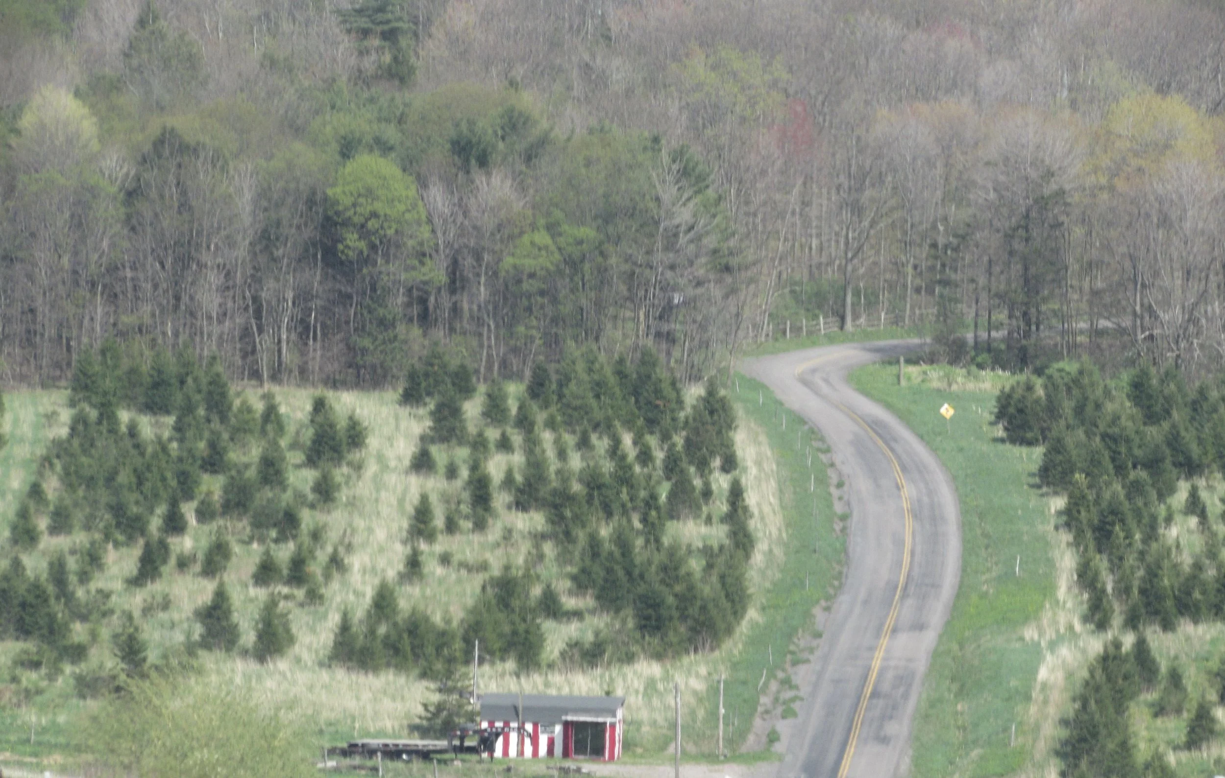 How We Use Media Will Drive Development of a Real Time Web