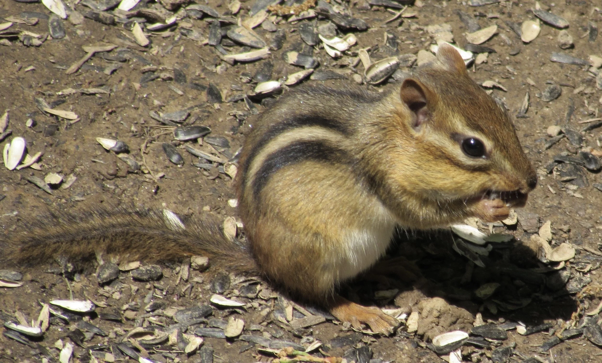 Let's Get Real about Enterprise Web 2.0