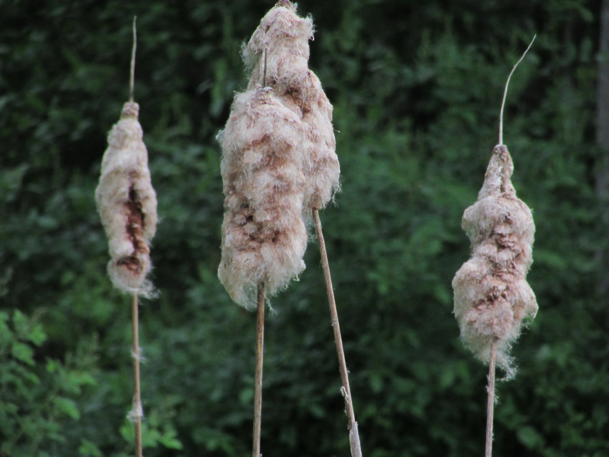 Progress On Open and Collaborative Project Management